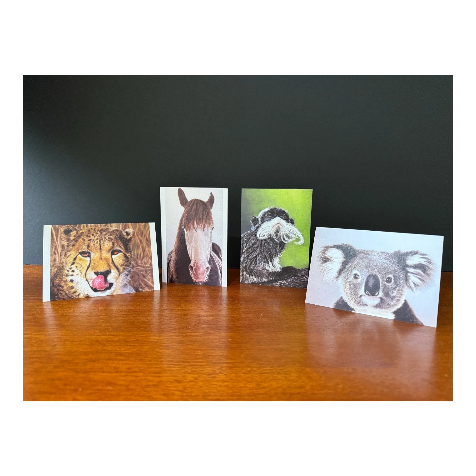 Animal Portraits | Collection No. 1