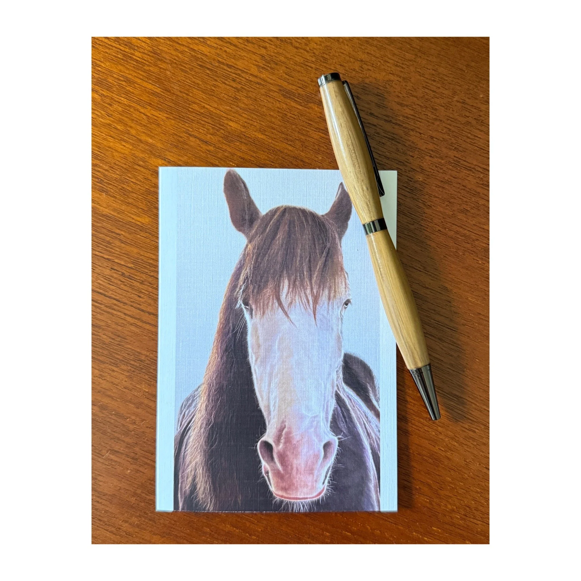 LifestylewithPen.jpeg