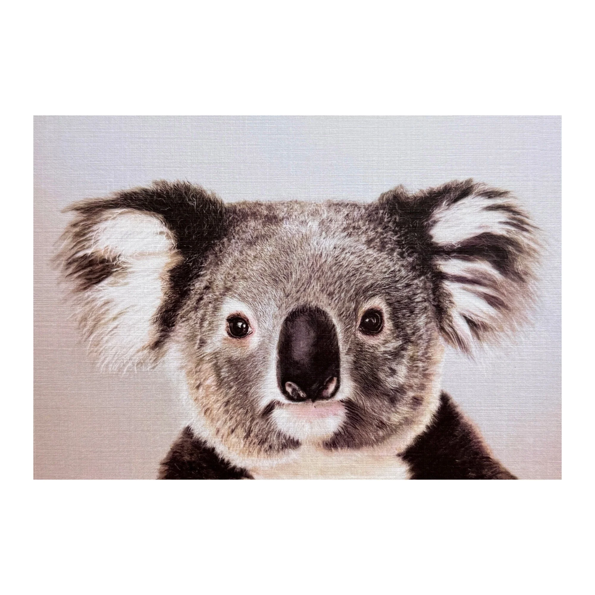 ContentKoala.jpeg