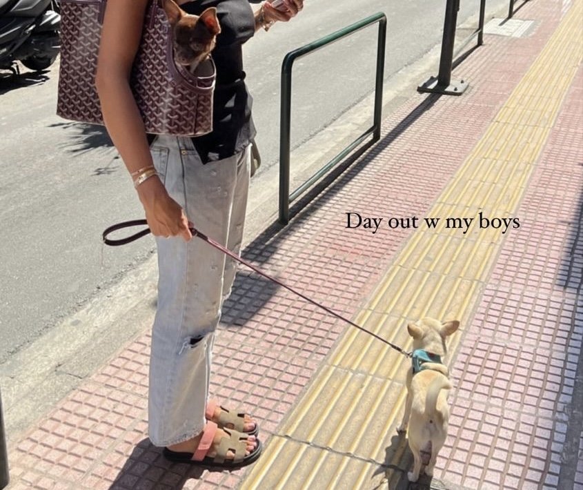 IMG_1913.jpeg