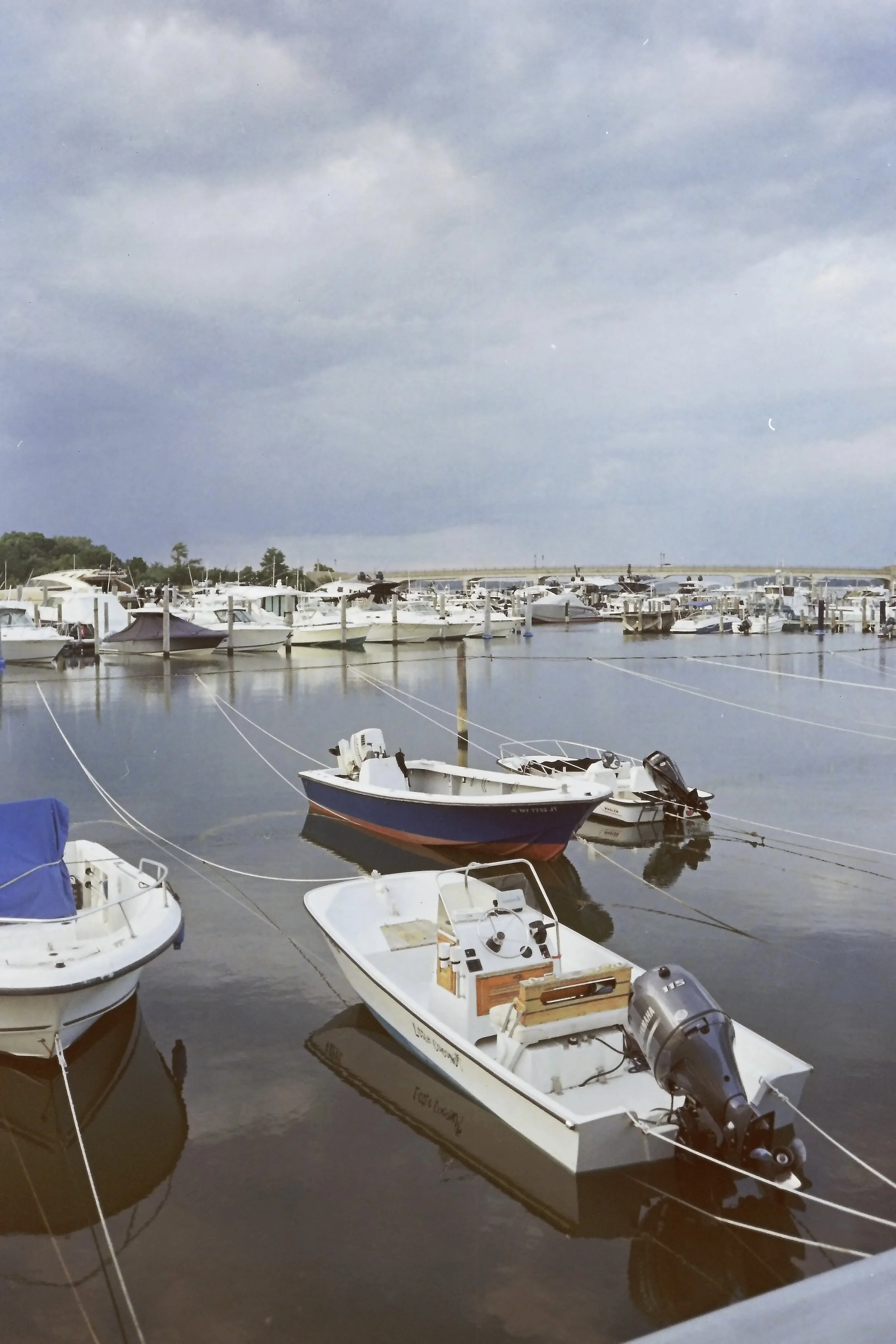 IMAG0046.JPG