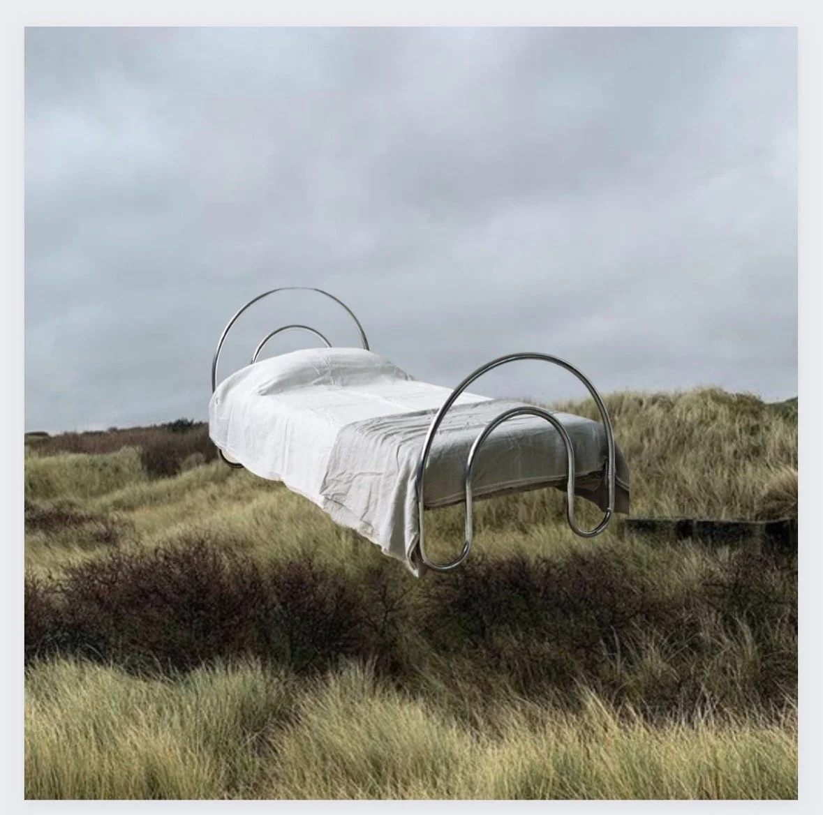 No. 3 of “Tubular Chrome in Nature” Series