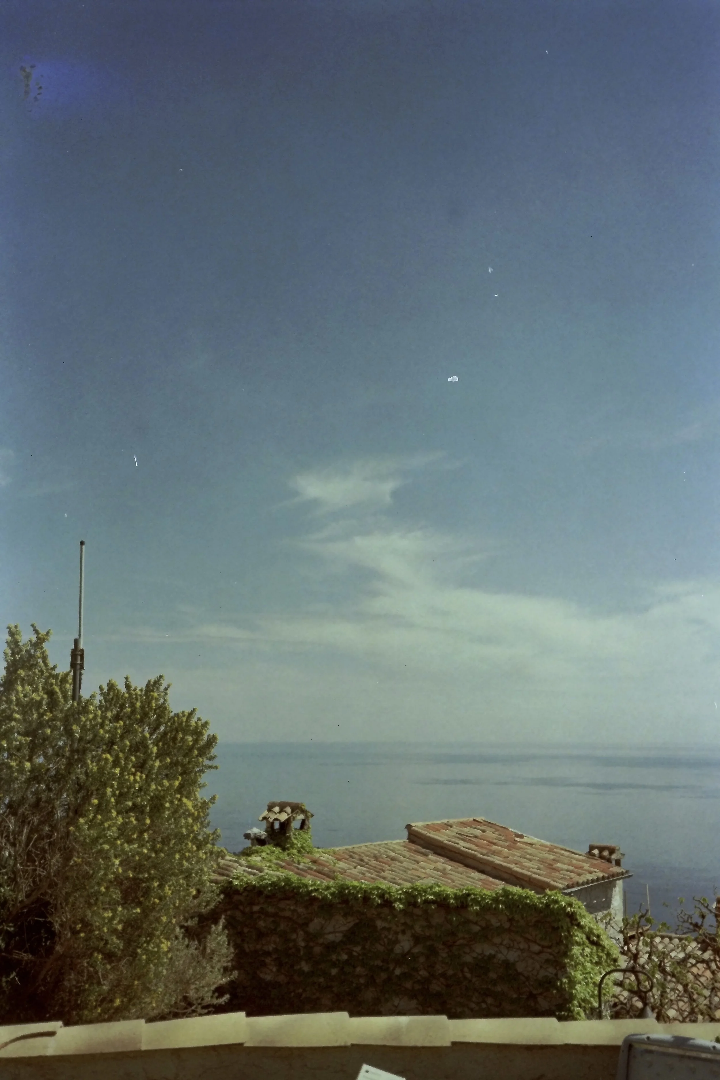 IMAG0017.JPG