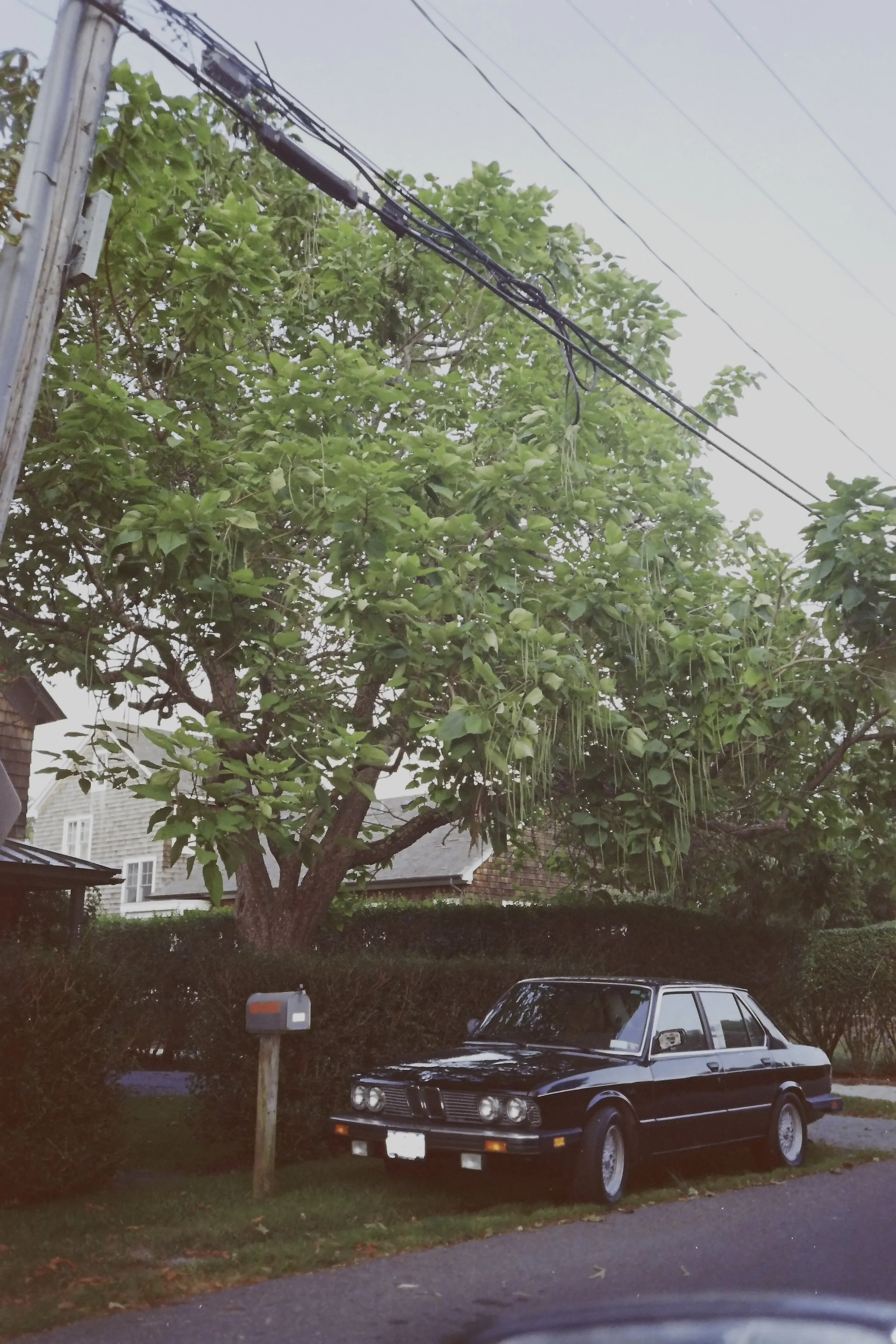 IMAG0044.JPG