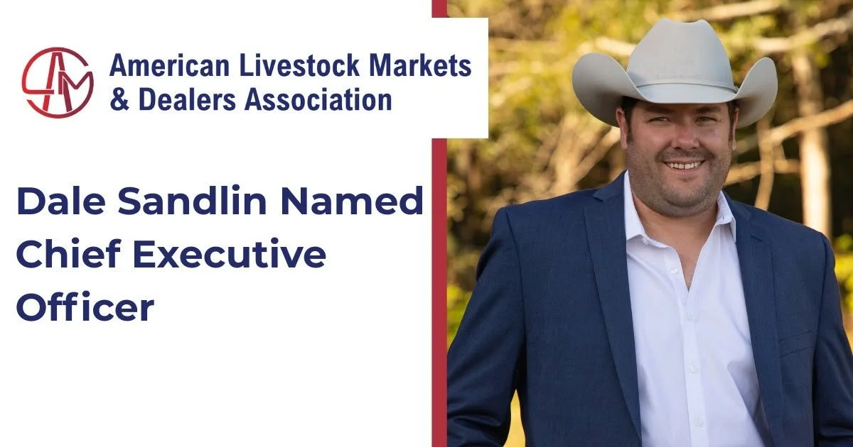Dale Sandlin Named Chief Executive Officer of ALMDA