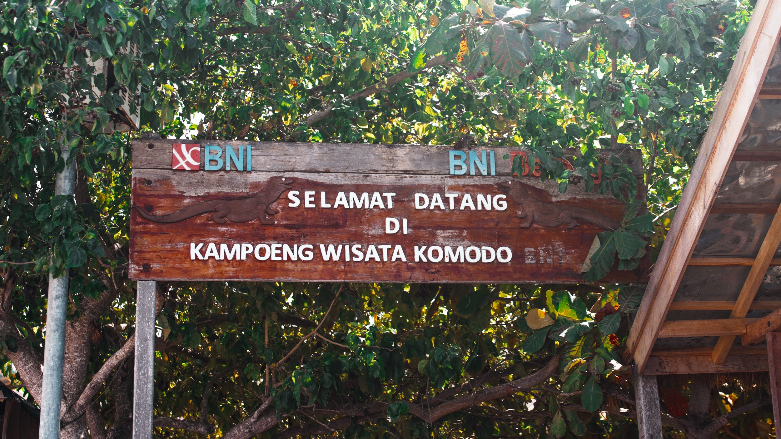 Komodo Island is 1 of 2 islands in the world home to the infamous Komodo dragon