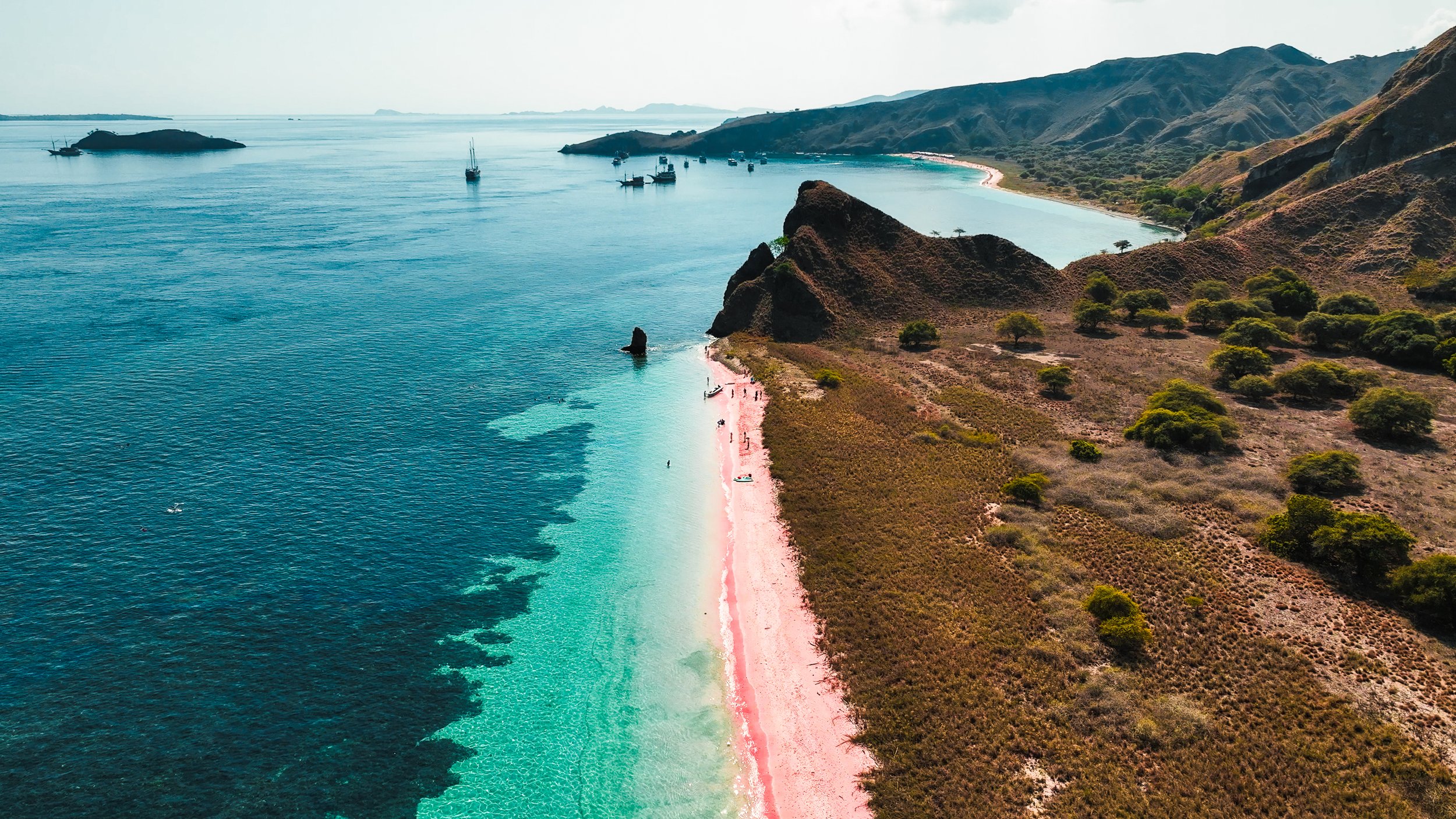 The pink beach is the result of a microscopic organism that lives on the coral