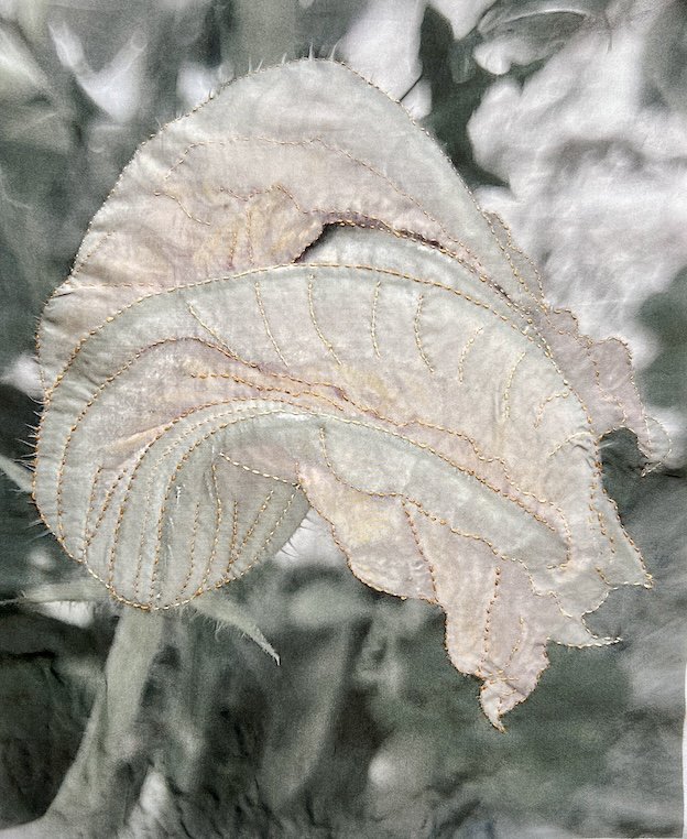Faded Beauty: Pumpkin Bloom 2026 
Hand embroidery on muted pigment photographic print on silk.


The folded bloom suggests shelter, vulnerability, and quiet resilience. Stitched contours trace the passage of time, where protection and tenderness hold