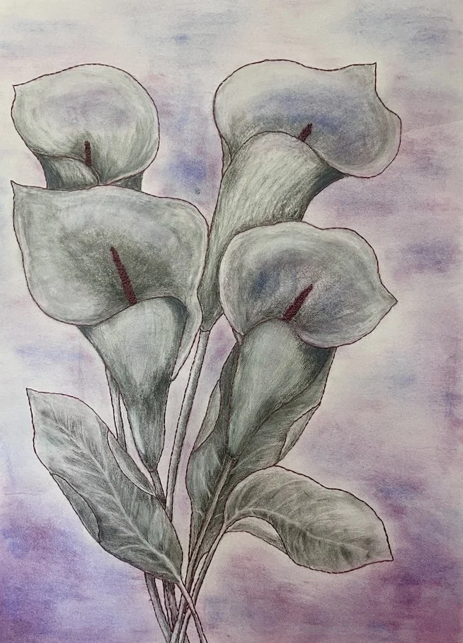 Becoming Form 2026 
Charcoal, pastel and stitch on Awagami washi
The calla lily holds a quiet sense of transformation, where charcoal and stitch shape the form over time, suggesting becoming as a gentle and continuous process.

