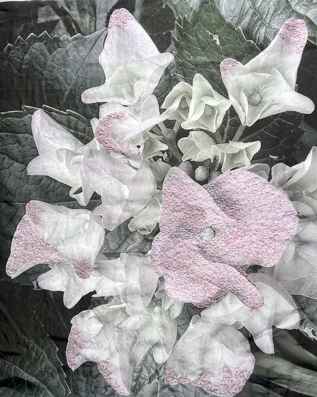 Faded Beauty: Hydrangea 2026
Hand embroidery on muted pigment photographic print on silk.

Soft pink stitching gathers across hydrangea petals, tracing memory, tenderness, and the quiet persistence of beauty. Fragility and presence coexist in luminou