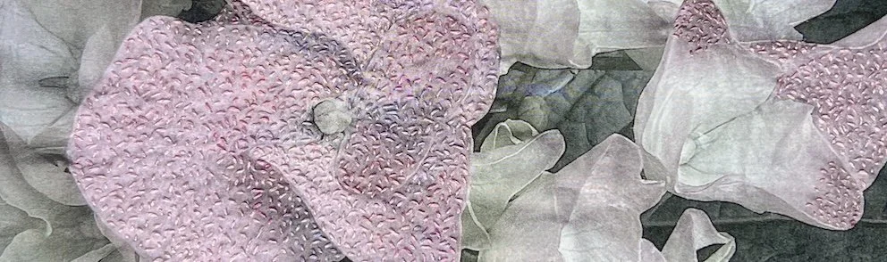 Barbara Dawson Faded Beauty-Hydrangea