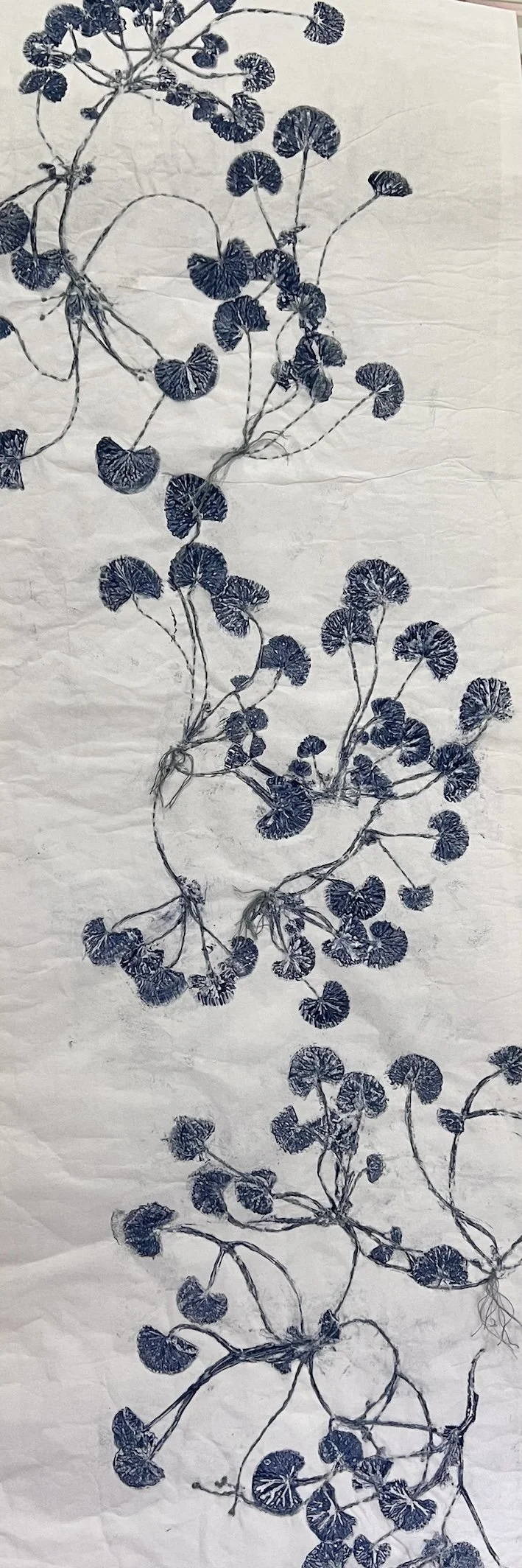 Gathering Slowly 2026 
Monoprint and hand stitching on Wenzhou Pi paper scroll 
Repeated printed  wild violets gather through time, drifting between memory and presence, where change unfolds slowly through layered marks, rhythm, and quiet becoming.
