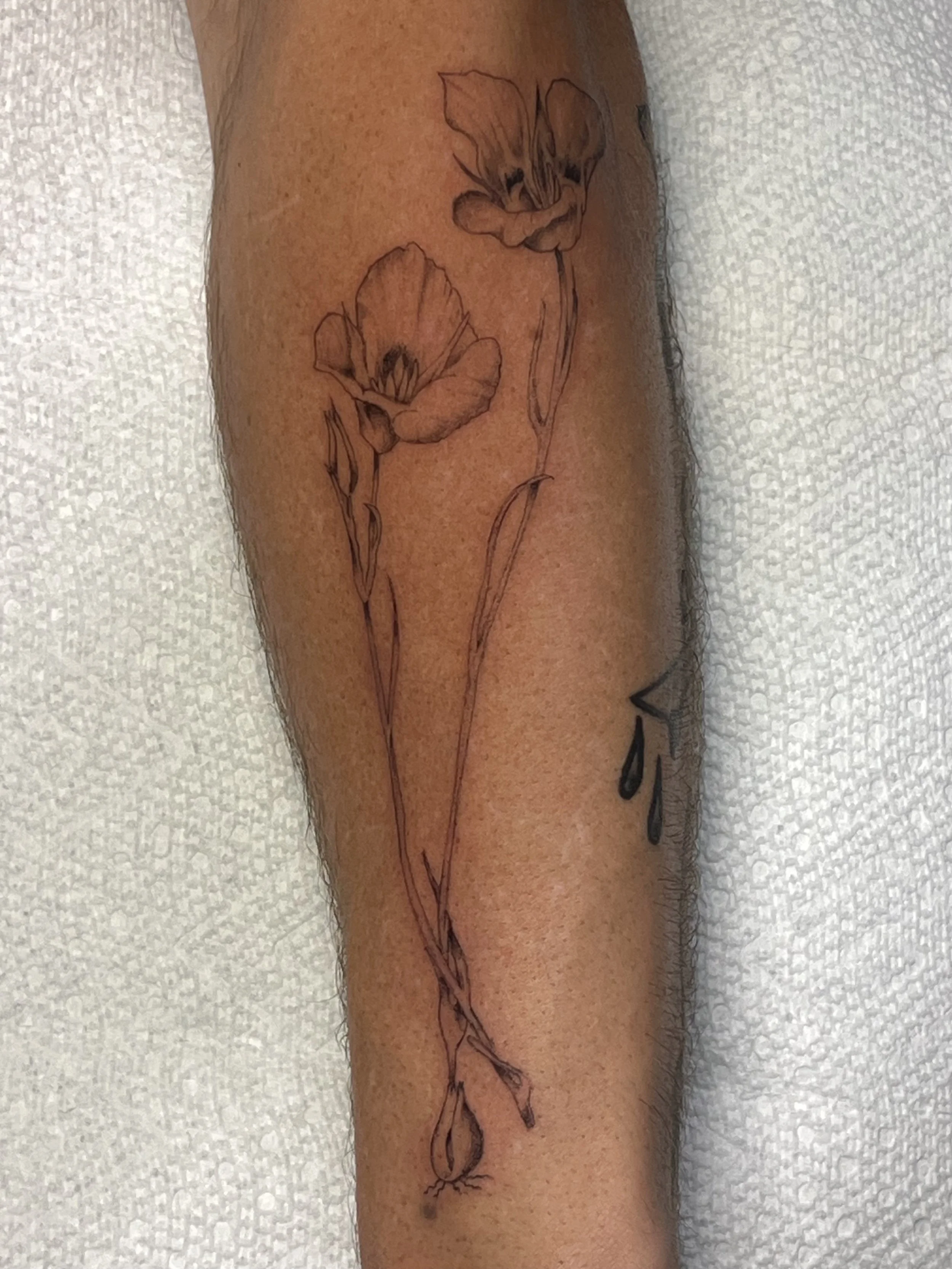 IMG_2759_Original 2.jpeg