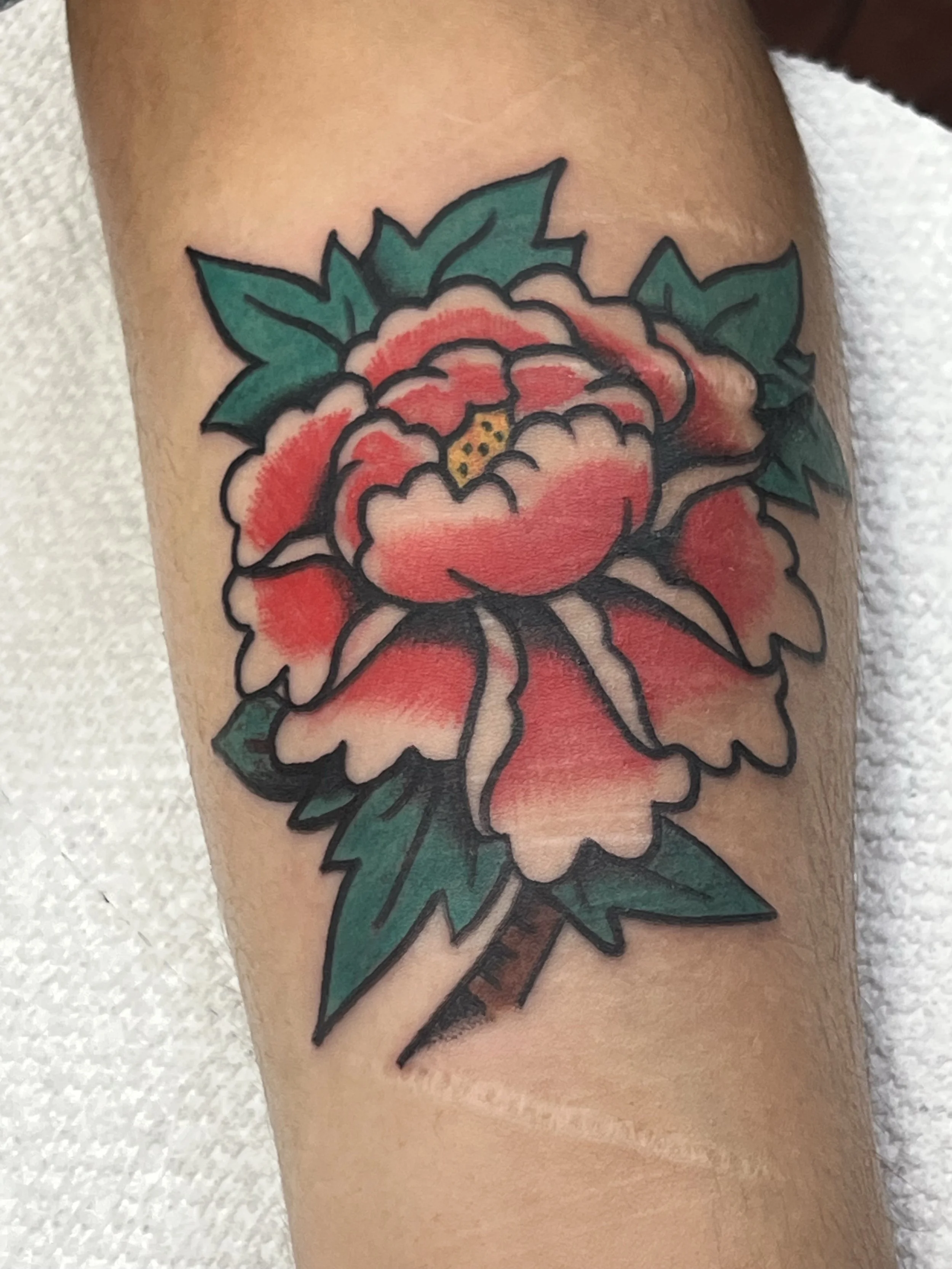 IMG_1412_Original 2.jpeg