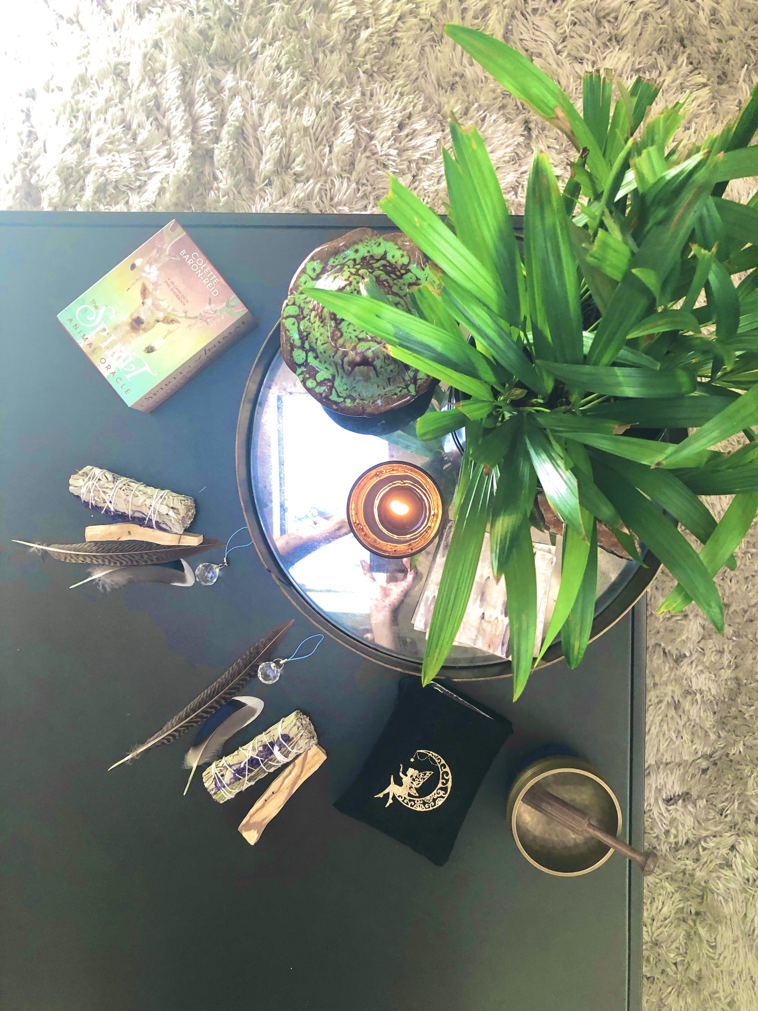 Holistic Healing Circuit Day Retreat - * FINAL DATE & PRICE STILL TBD *