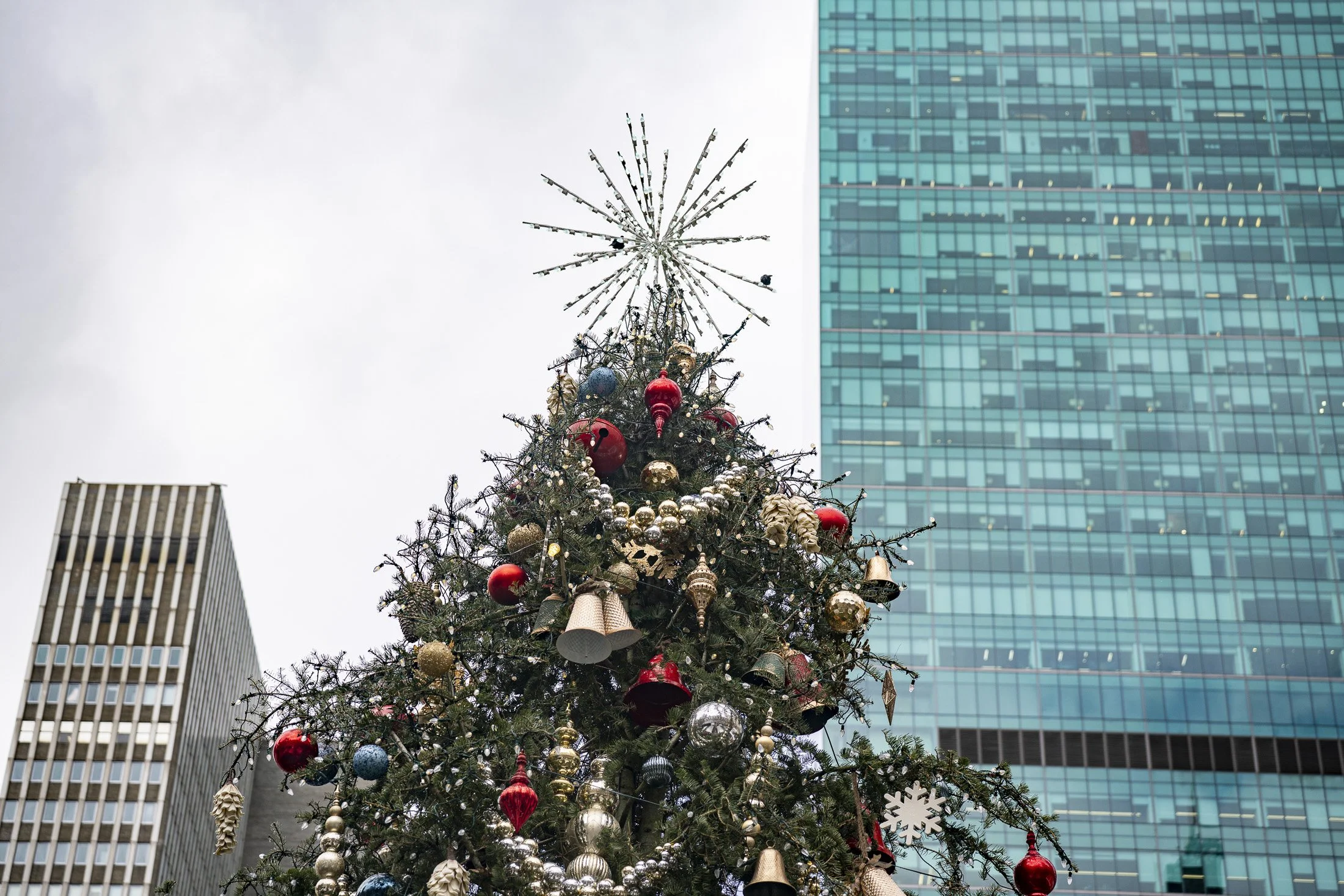 December-2025-web_06.jpg