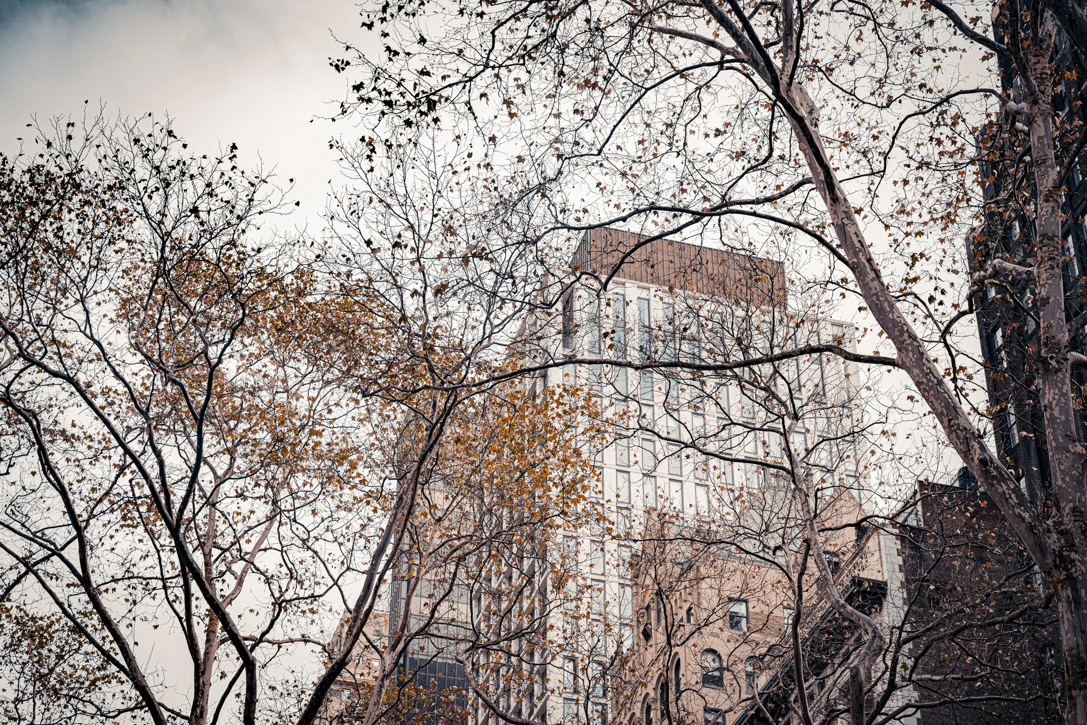 December-2025-web_05.jpg