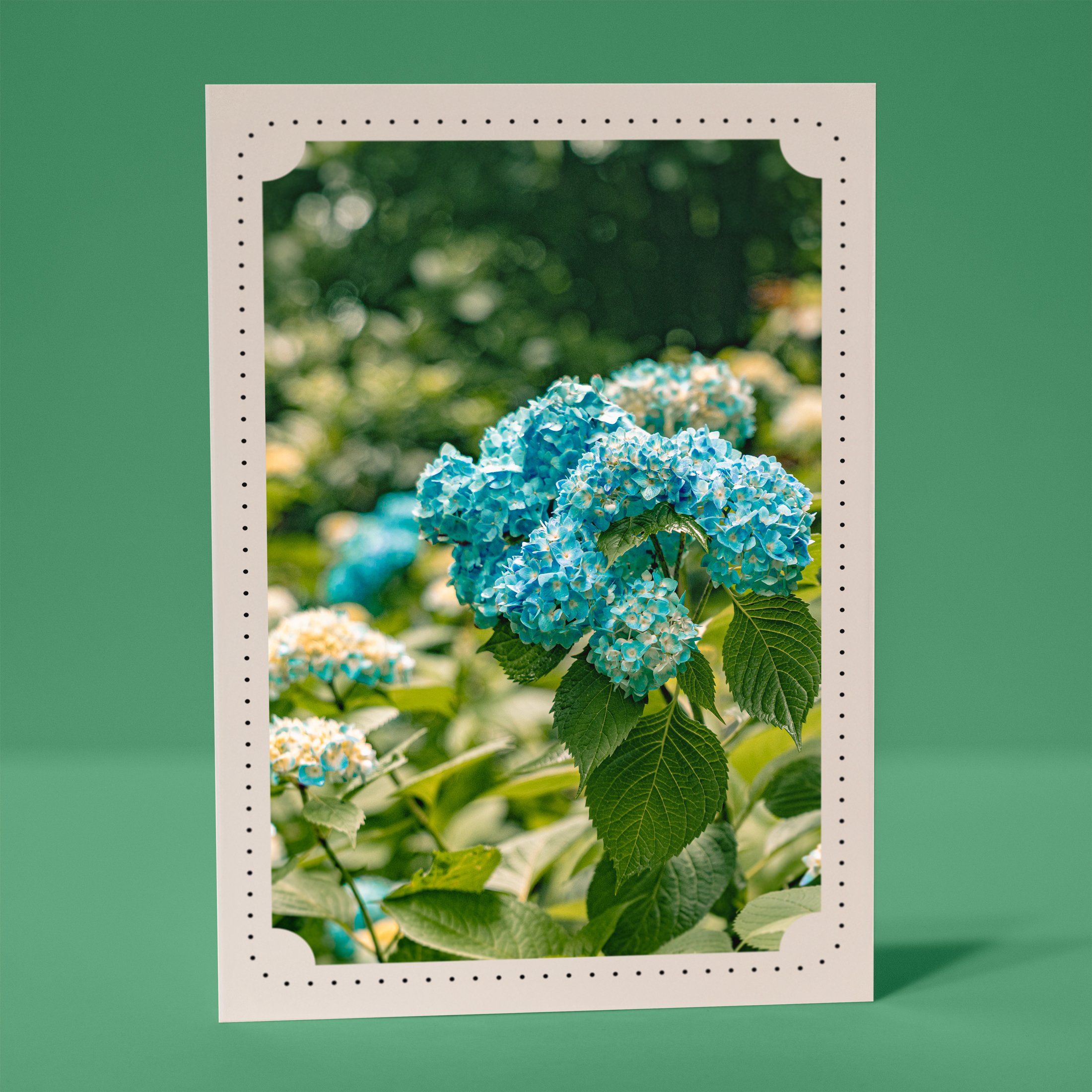 Inkvine-TGCMockup-Card4-2026.jpg