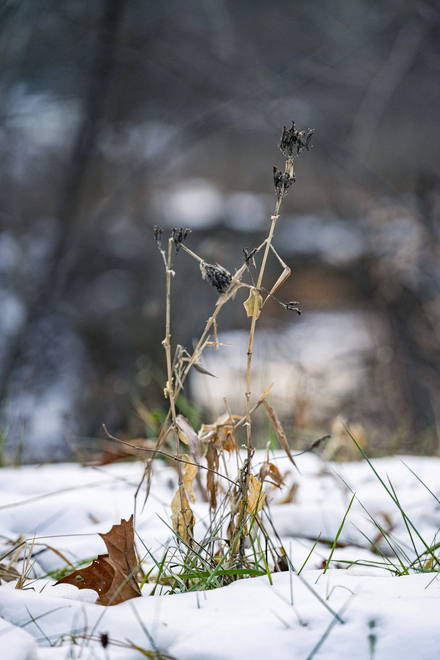 December-2025-web_11.jpg