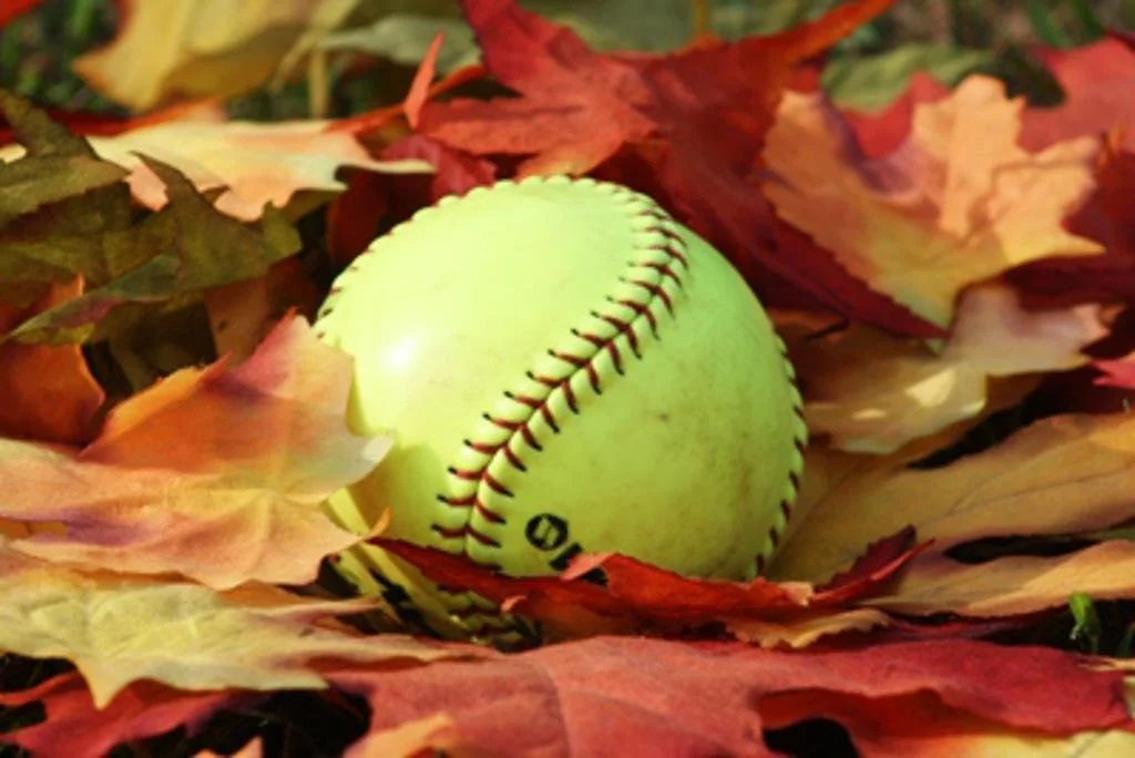 Fall Ball Interest Form