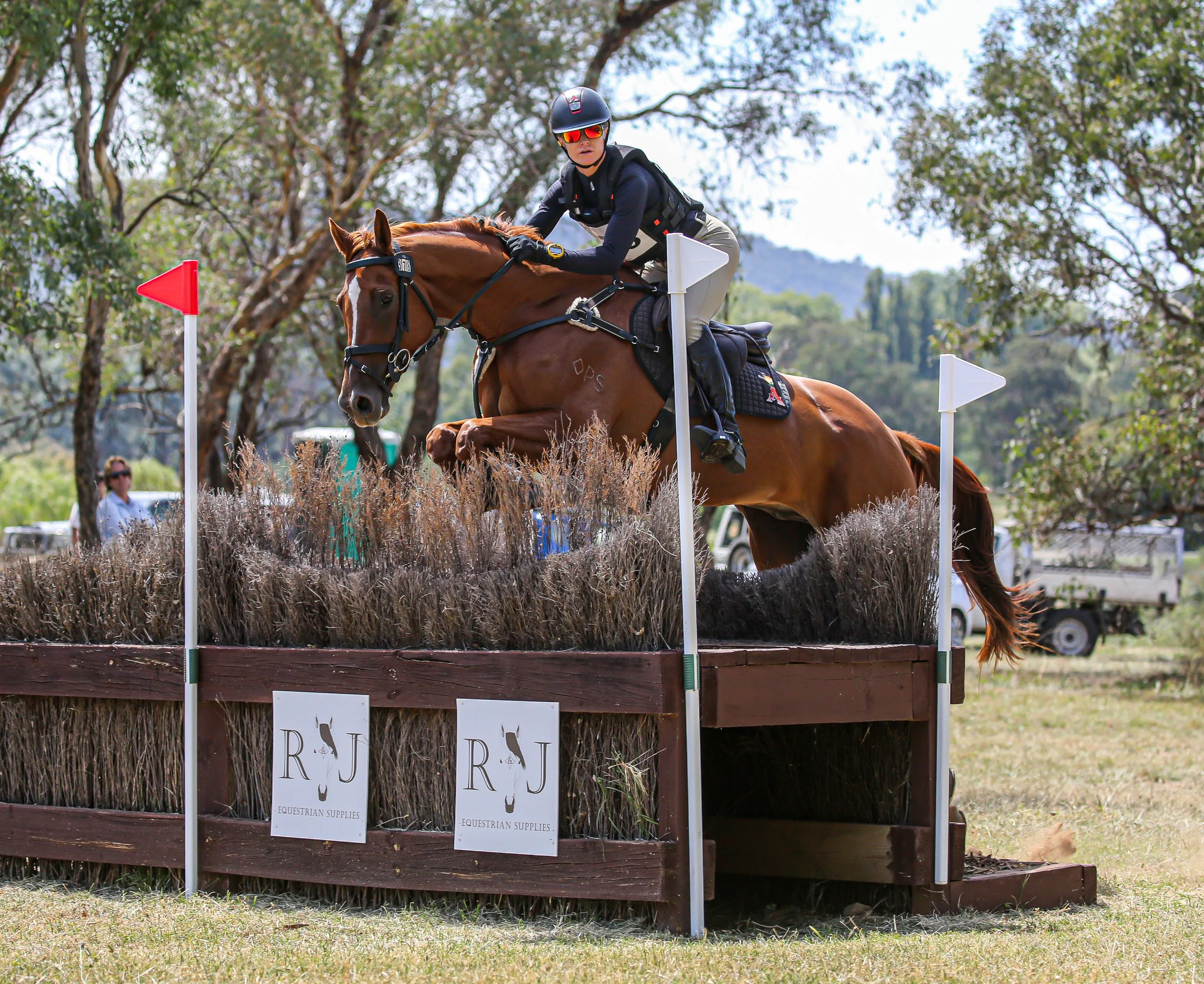 Sailor 2star Canberra XC.jpg