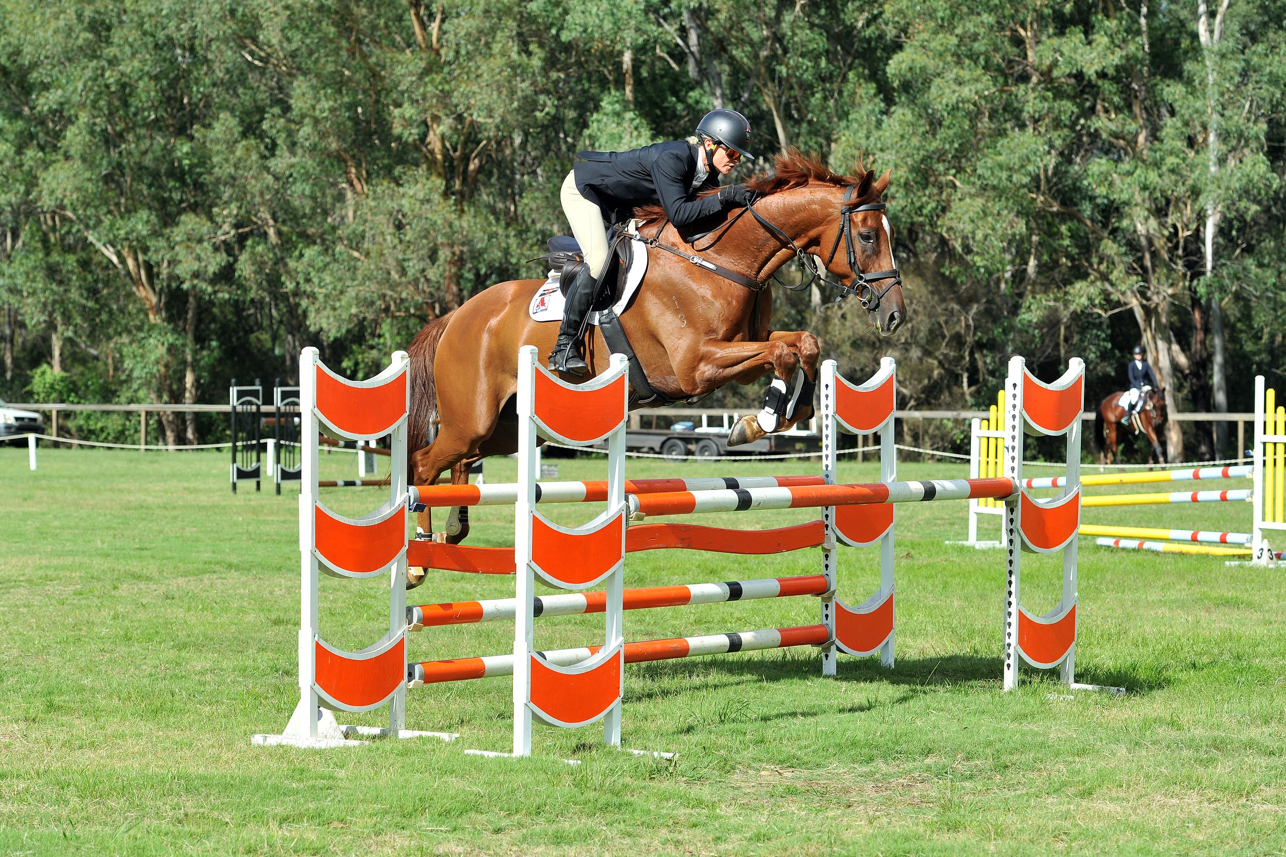 Sailor 2star Rebel SIEC Feb2021.jpg