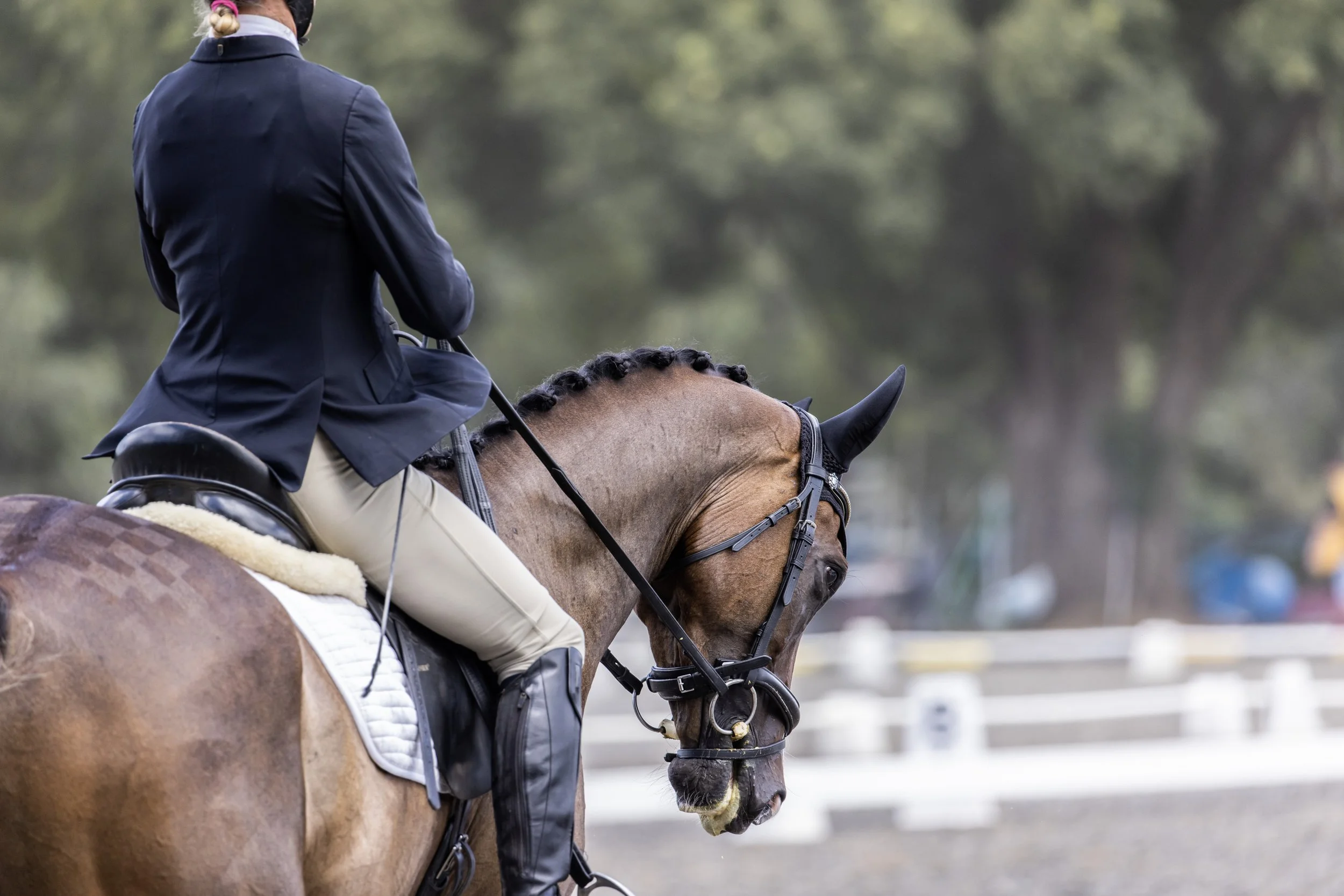 Aero FTP Dressage Feb25.jpg