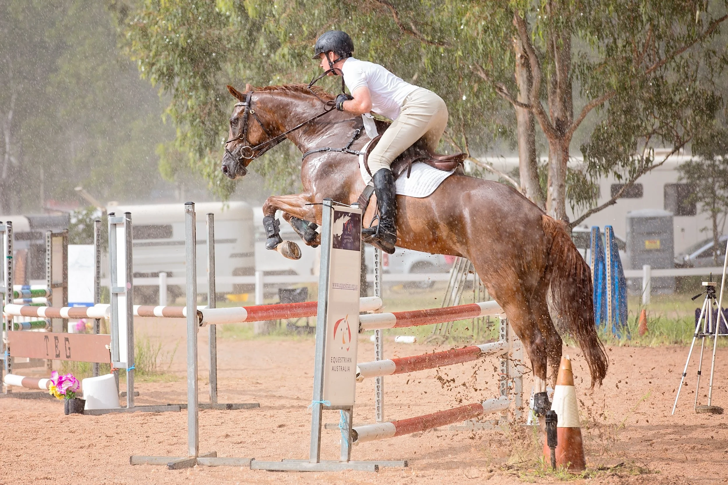 Squeak SJ TEG 2018.jpg