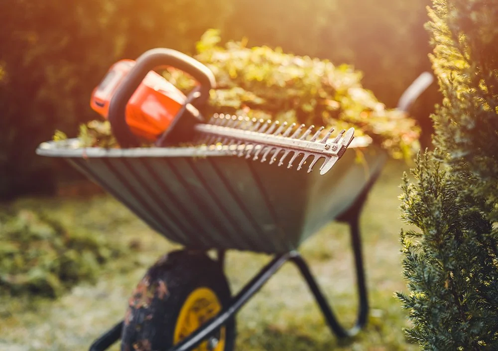 Your Garden Doctor