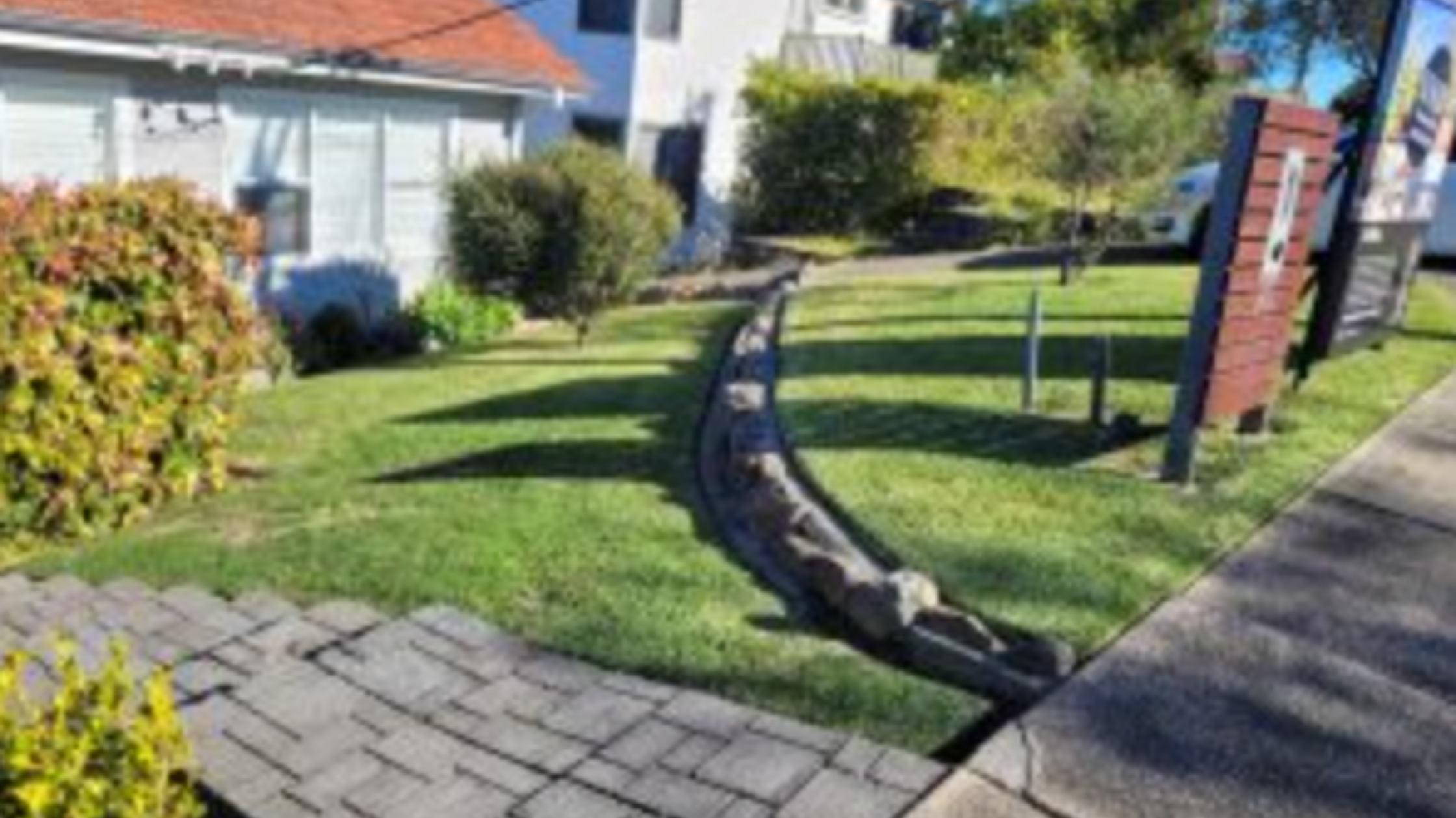 Newy Yard Maintenance - Our Work5.png