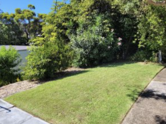 Newy Yard Maintenance-Yardwork.png