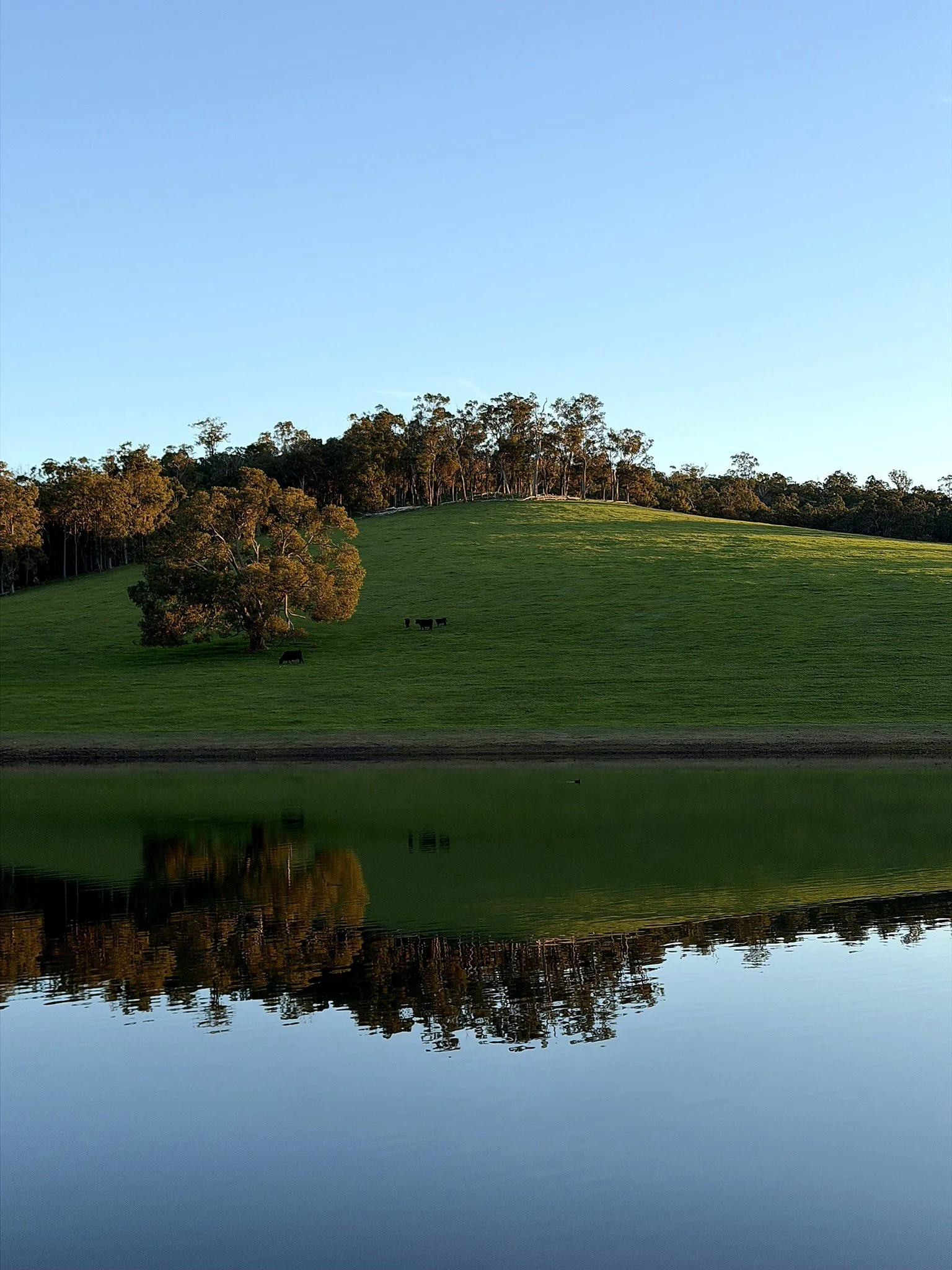 08-bts-hillside-reflection.jpg