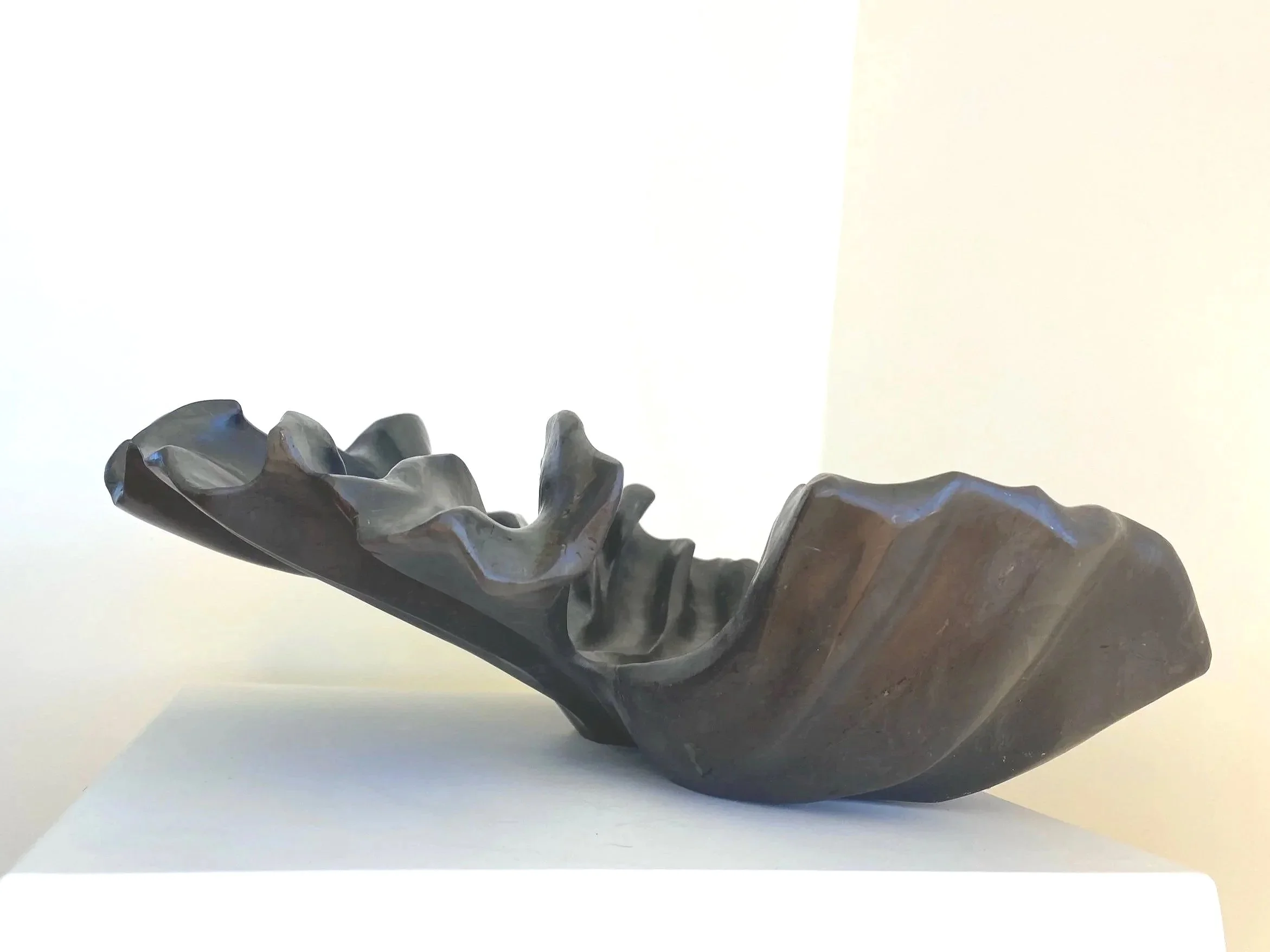 Hāora Tūturu / Pertpetual Sponge