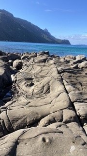 rock formations near the ocean , Bream Head in the background, Northland, New Zealand.