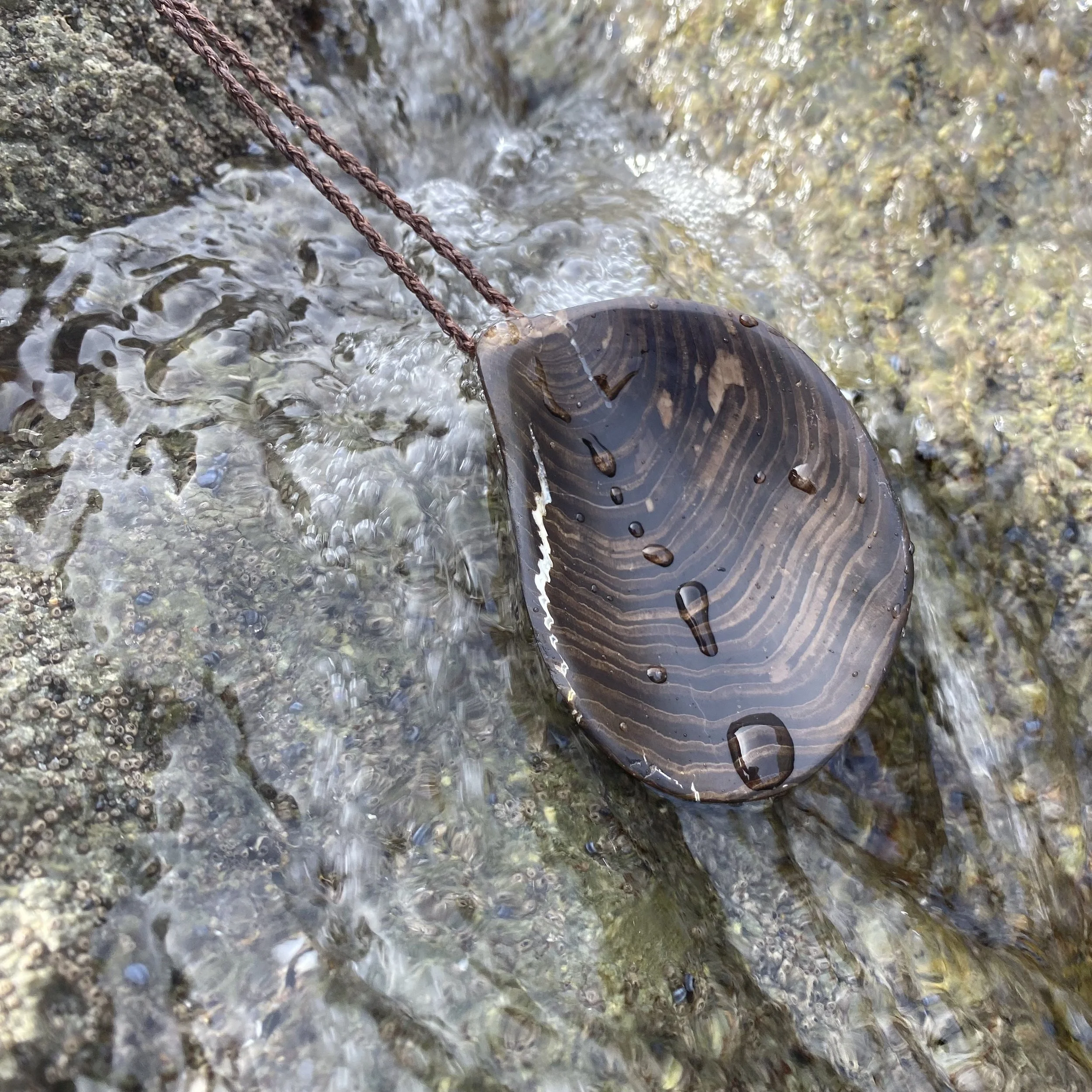 Oyster I