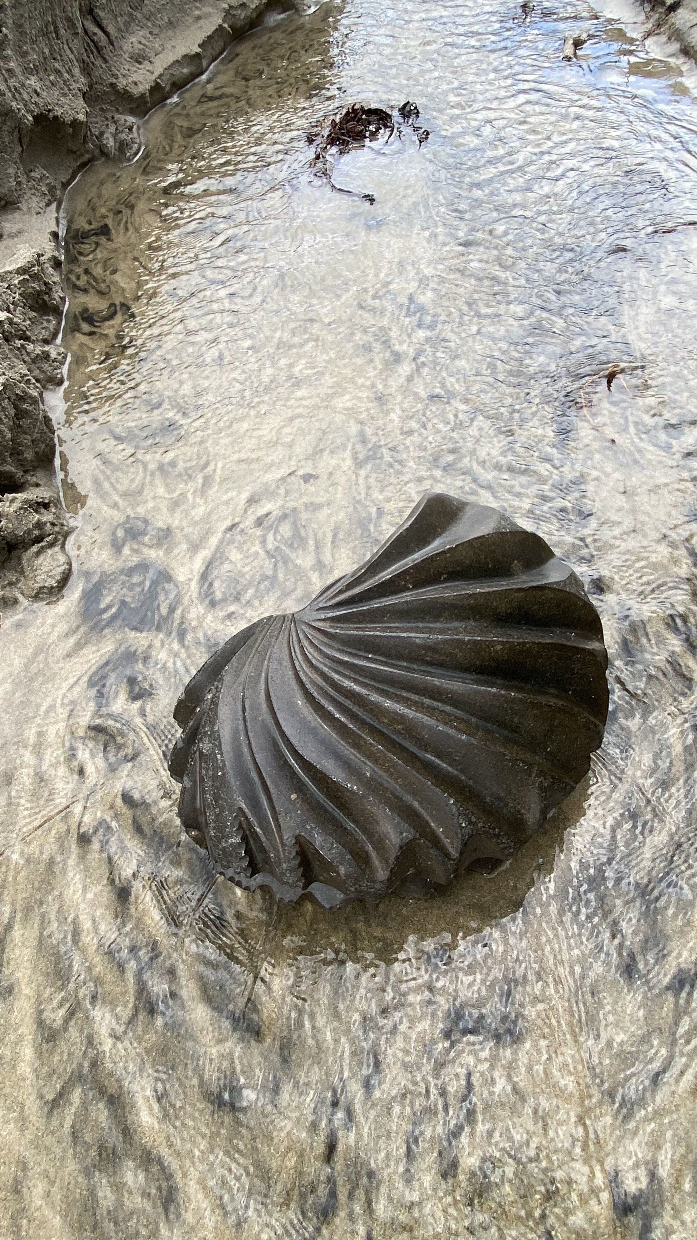 Nautilus Shell Vessel, 2020.
Basalt. 430 x 220 x 360mm.