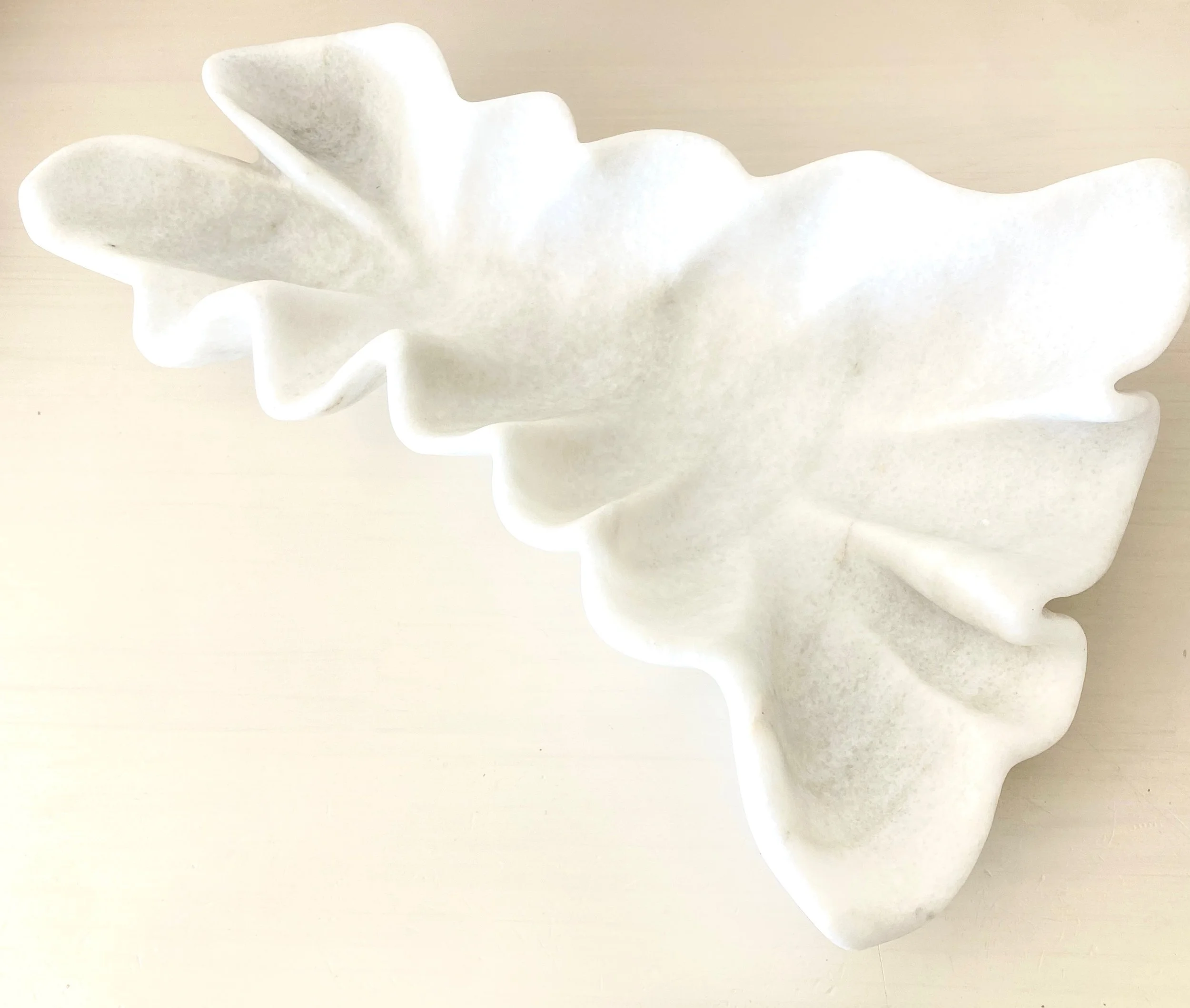 Elephant Ear Sponge