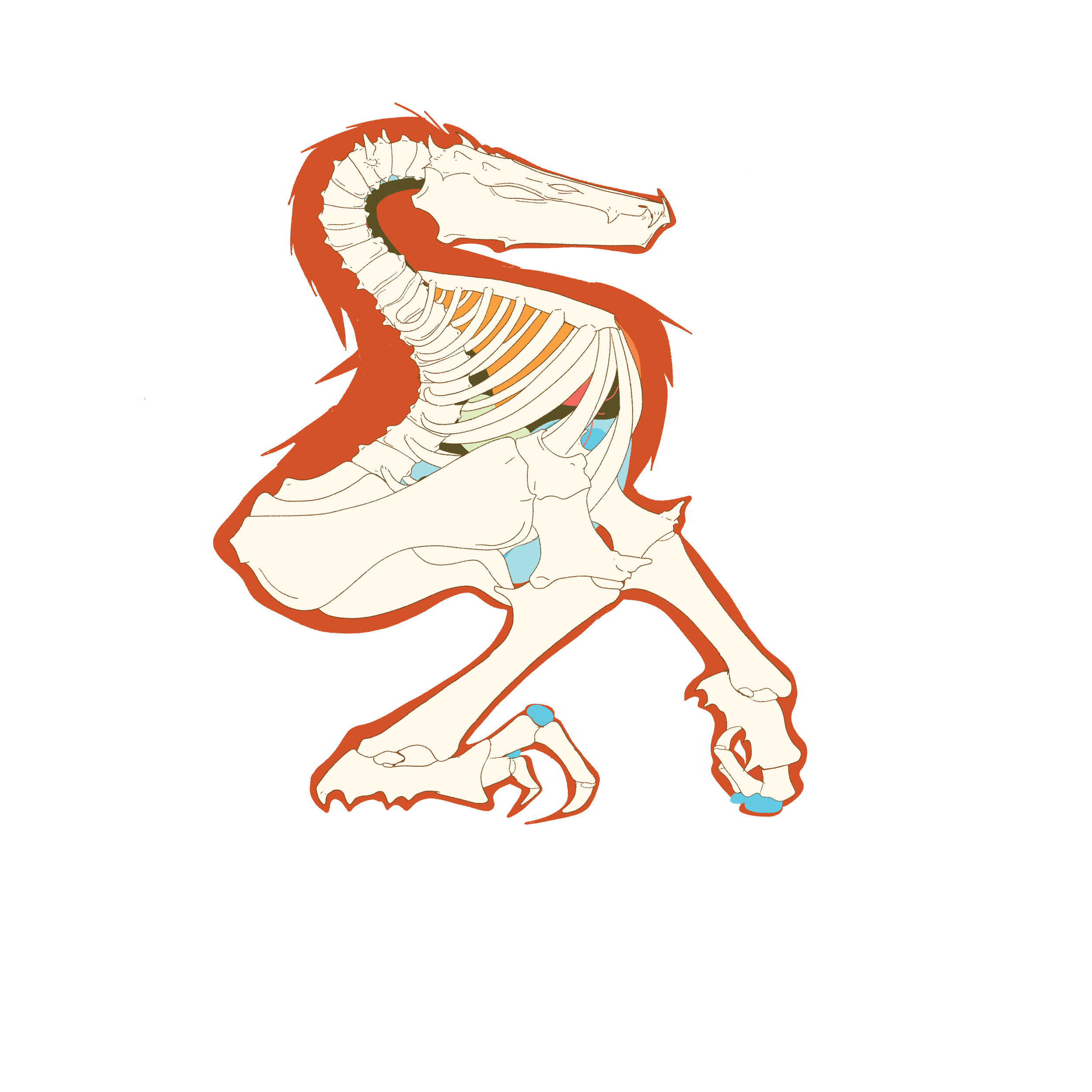Eastham_FA_P2_CD_Anatomy1SideProfile.png