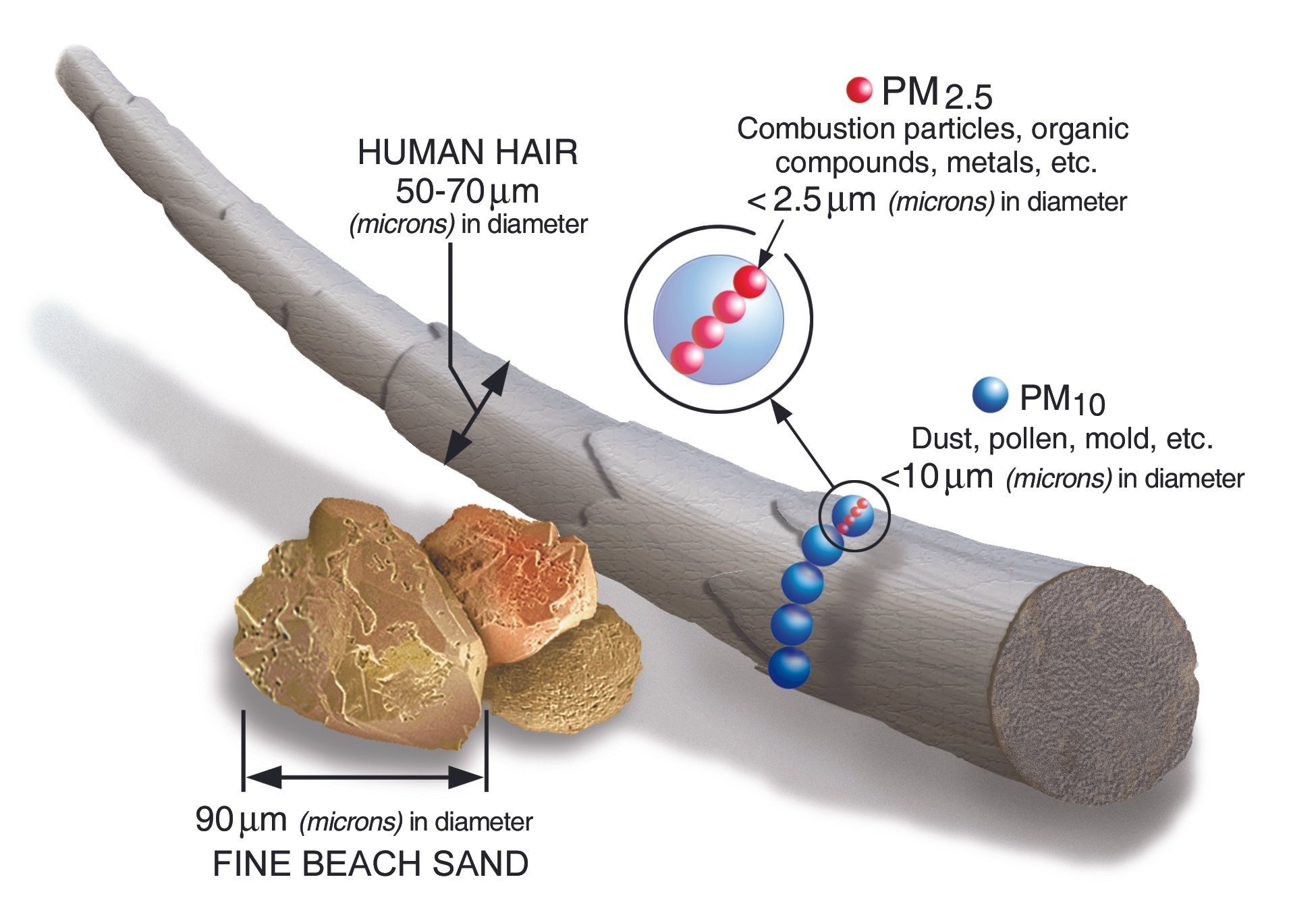 Fine Particles Examples VA Presumptions for Fine Particulate Matter
