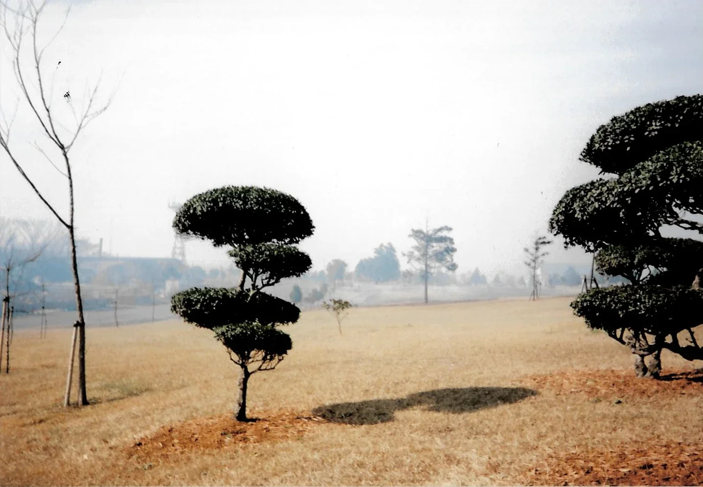 Haze from Incinerator Emissions Spreads Across Base