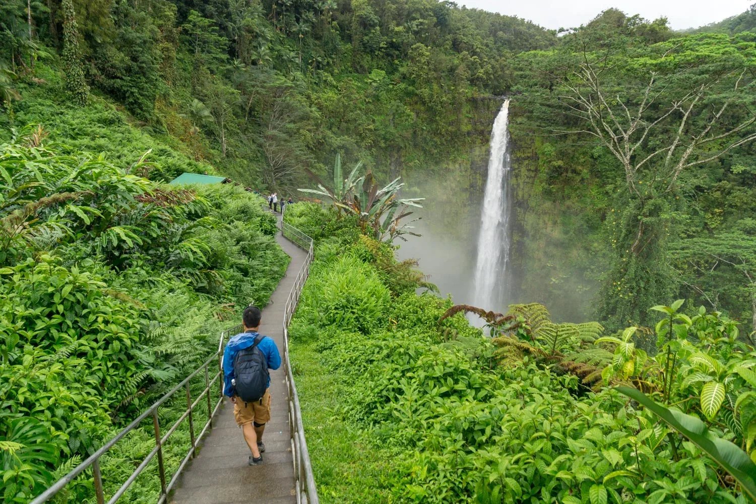 Big Island guided tours in Hawaiʻi