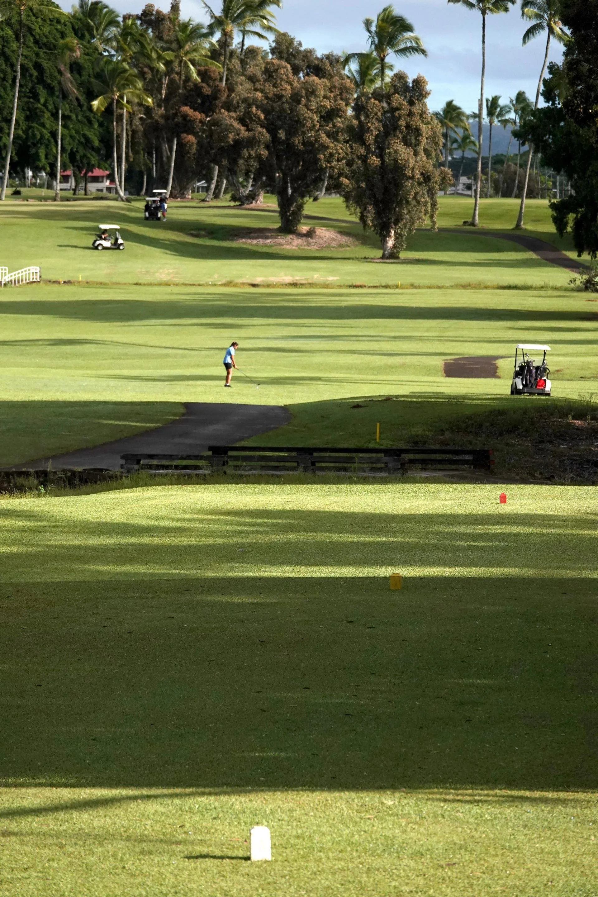 A golfer playing on a sunny golf course with lush green grass, trees, and several golf carts in the background.