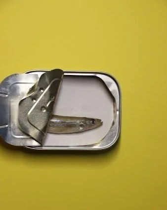 Fish1.jpg