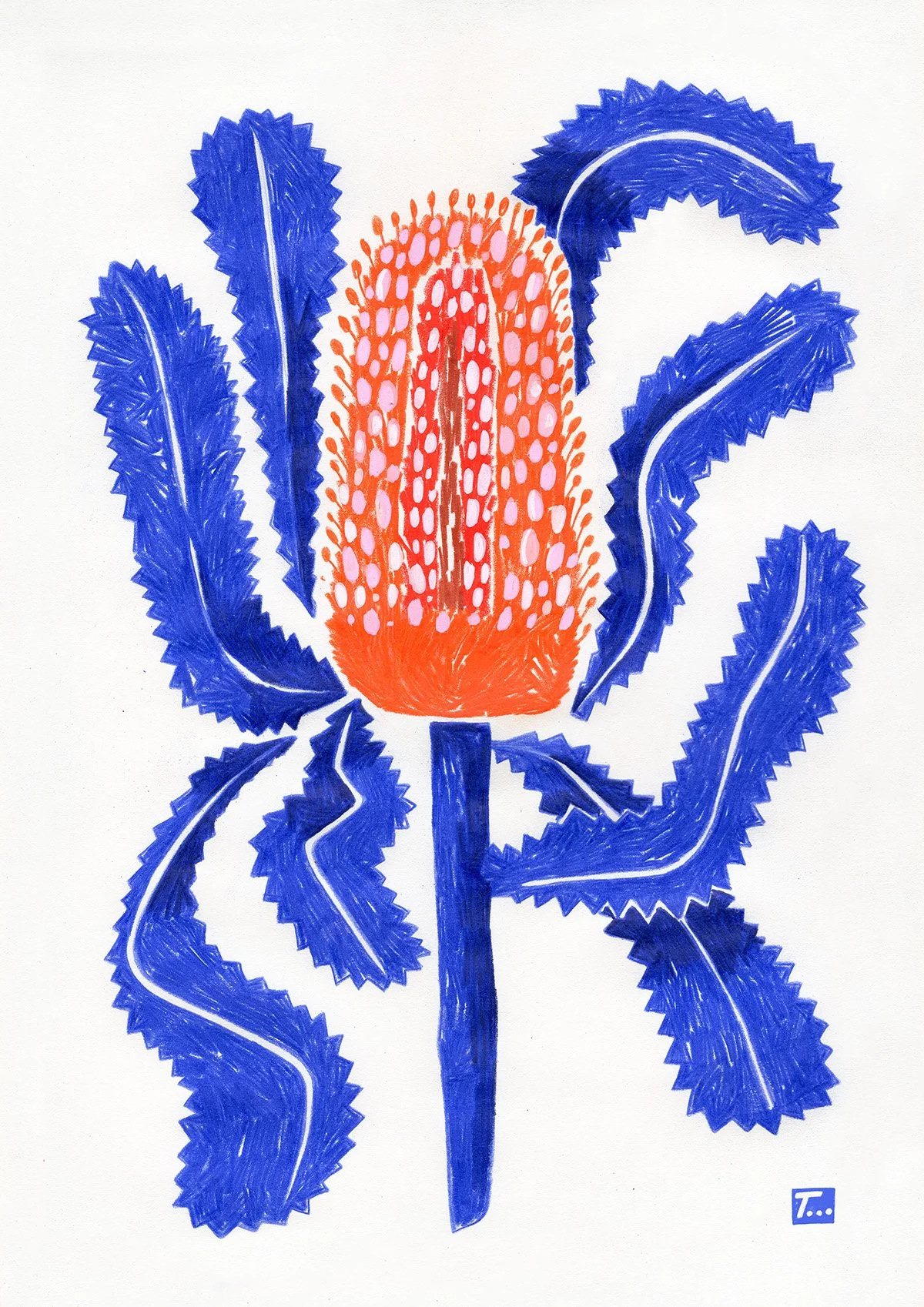 Sometimes the smallest things, help us heal.