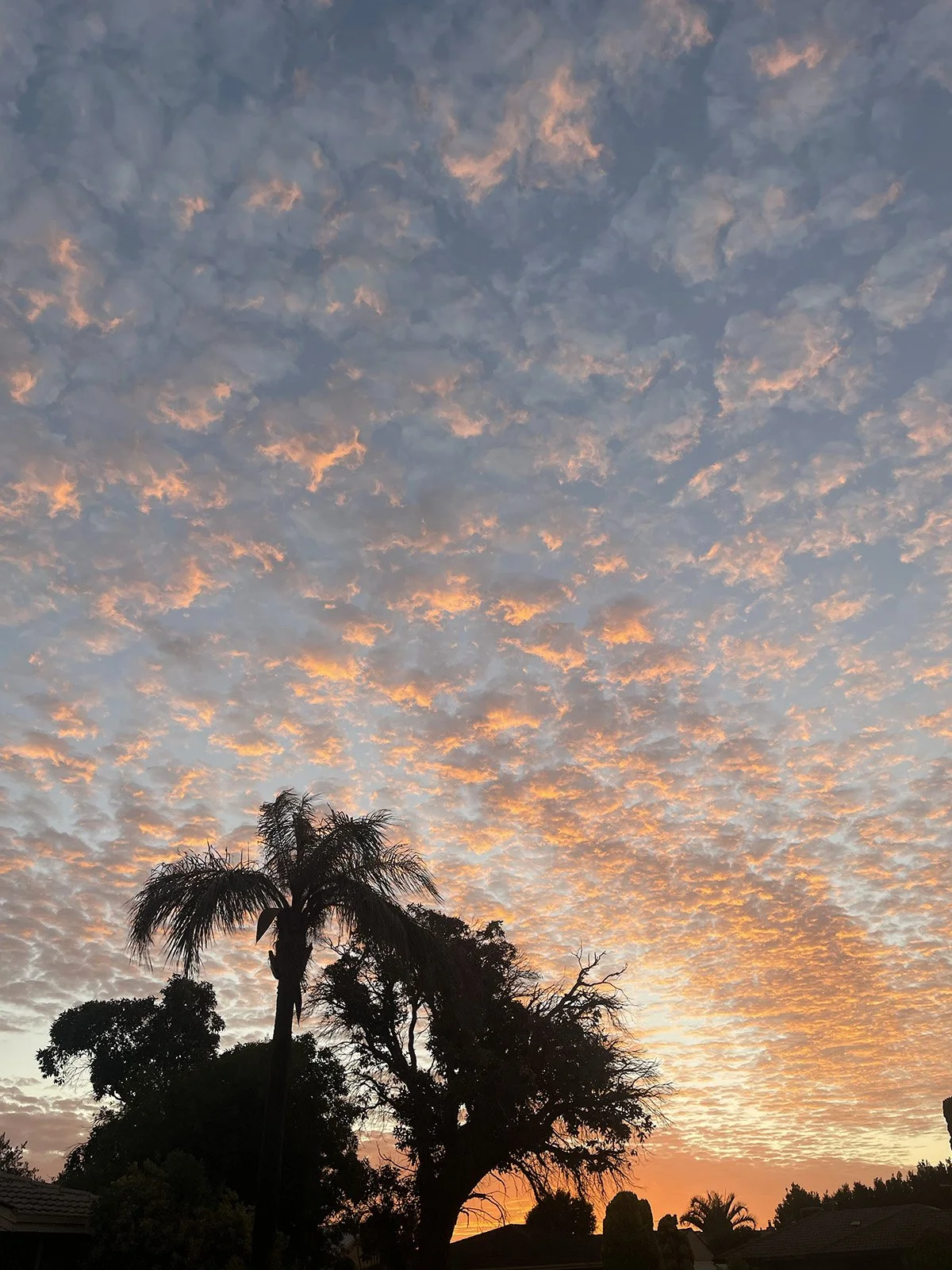 Perth_Sunset.jpg