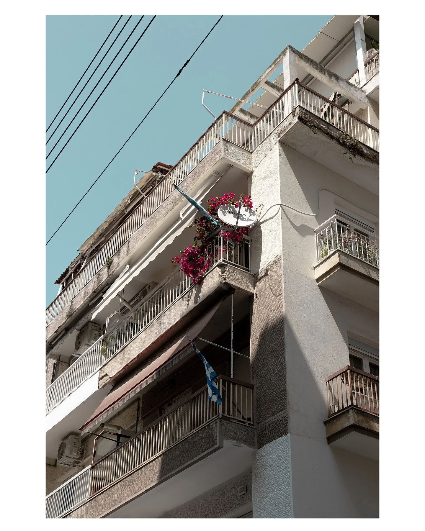 &rdquo;Don&rsquo;t bend; don&rsquo;t water it down; don&rsquo;t try to make it logical. The world needs your truth, not your edits.&rdquo;

-Bookgains based on Franz Kafka

#postcardsfromgreece #thessaloniki #bougainvillea #greece #europeansummer #gr