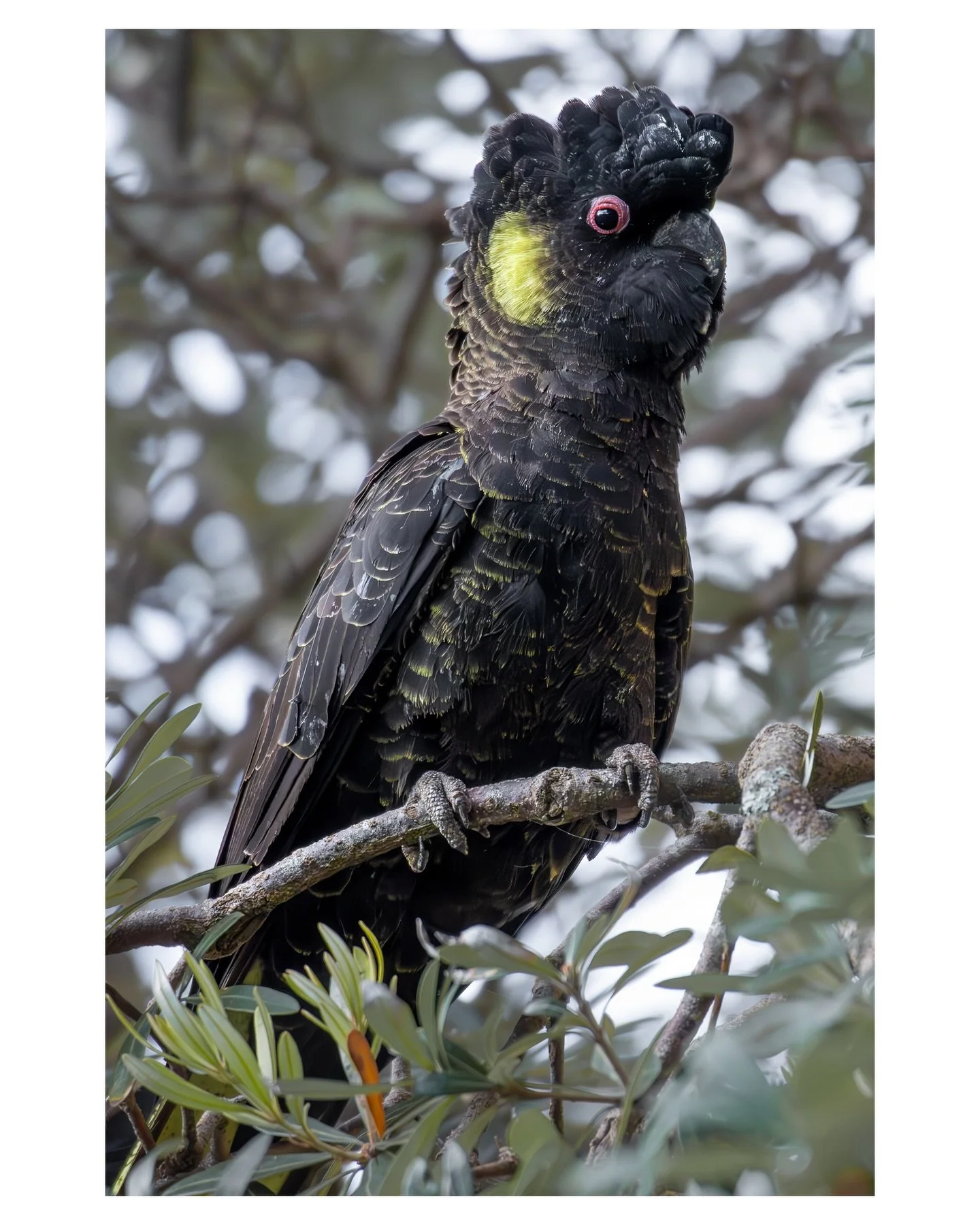 &ldquo;Pick a single creature on this earth and its story will be the earth&rsquo;s story, he suddenly thinks. It can tell you everything, that one creature. The whole history of the world, the whole likely future of the world.&rdquo;

― Samantha Har