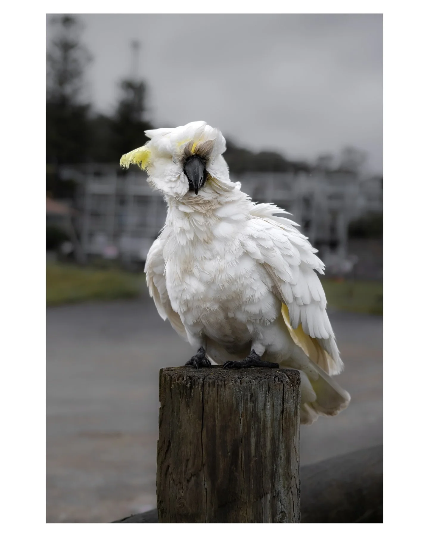 &ldquo;Take a moment. Step outside. Look at the sky, the trees, the wind, the stars. Everything in the universe is in motion - yet nothing is in a hurry. 
The entire universe is in peace. No one is rushing, pushing, or worrying - except humans.&rdquo