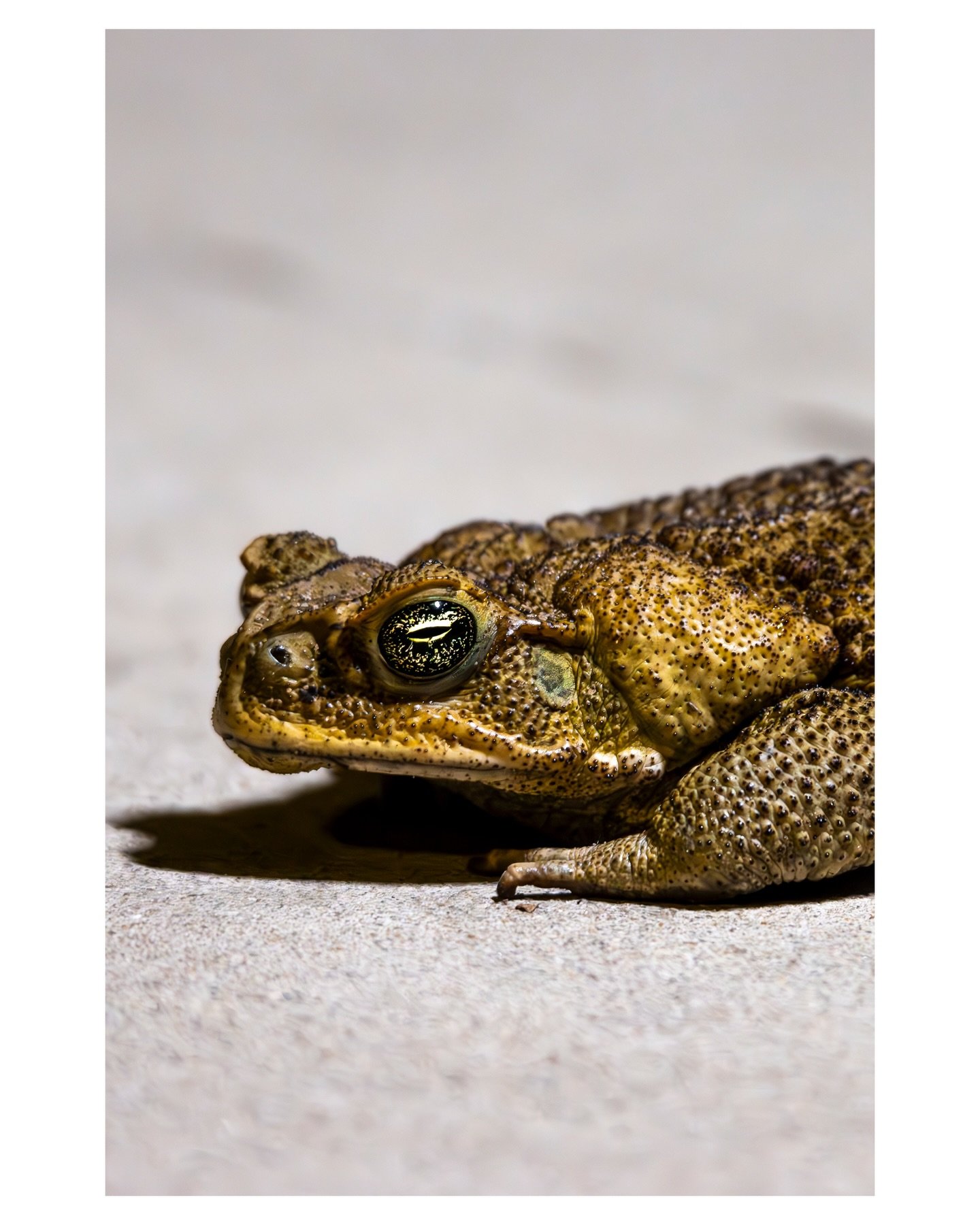 &ldquo;One day, if you get into a position of power, tell people this: just because you can, it doesn&rsquo;t mean you should. There is a power and a beauty in unproved conjectures, unkissed lips and unpicked flowers.&rdquo;

― Matt Haig, The Humans
