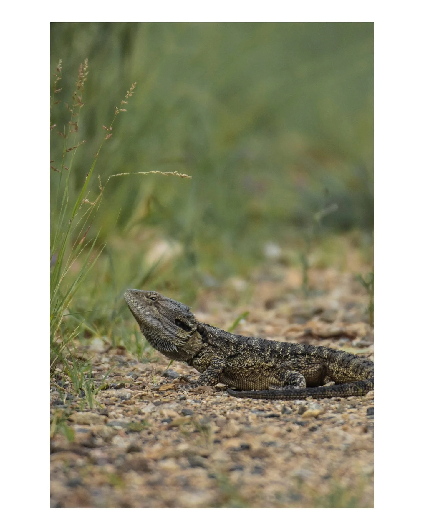 &rdquo;Life is not a zero-sum game. It owes us nothing, and things just happen the way they do. Sometimes they&rsquo;re fair and everything makes sense; sometimes they&rsquo;re so unfair we question everything.&rdquo;

-Benedict Wells, &rdquo;The End